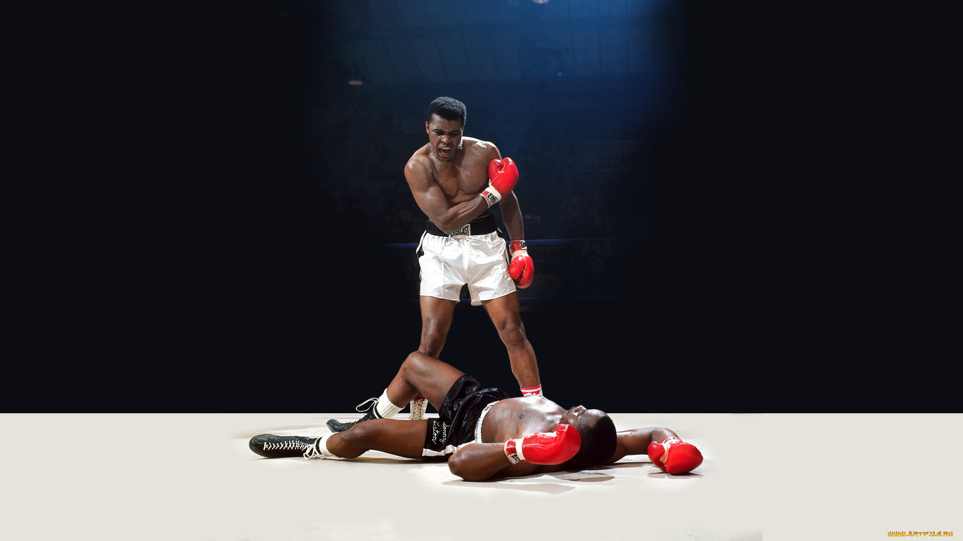 boxing, спорт, бокс, ринг, нокаут, бой