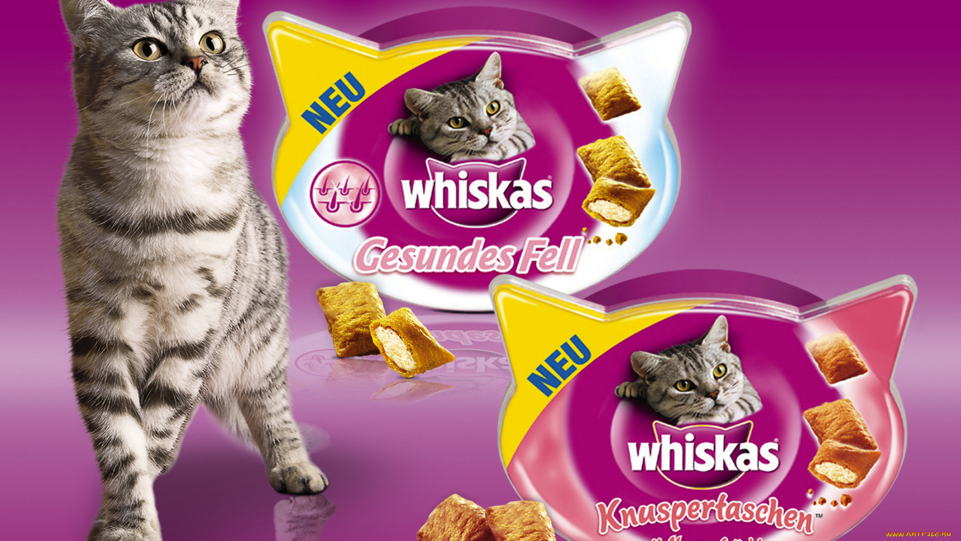 бренды, whiskas, корм