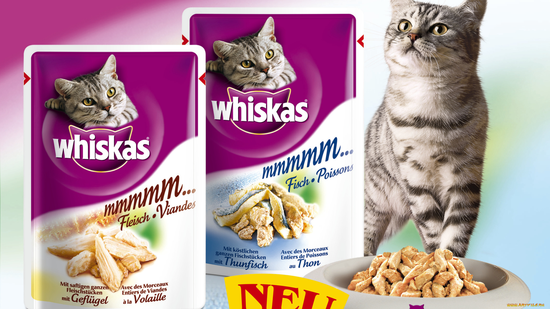 бренды, whiskas, корм, кот