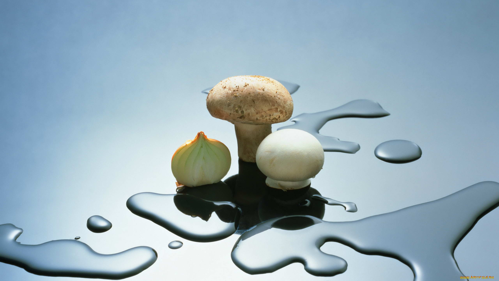 еда, грибы, грибные, блюда