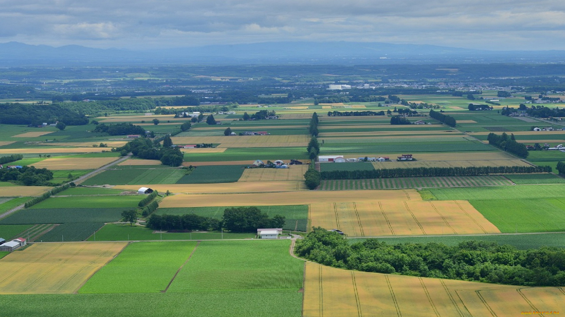 природа, поля, облака, поле