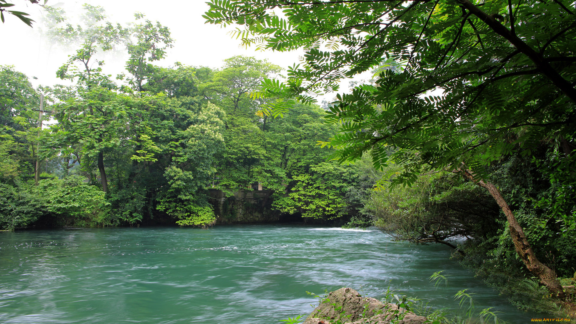 природа, реки, озера, деревья, река