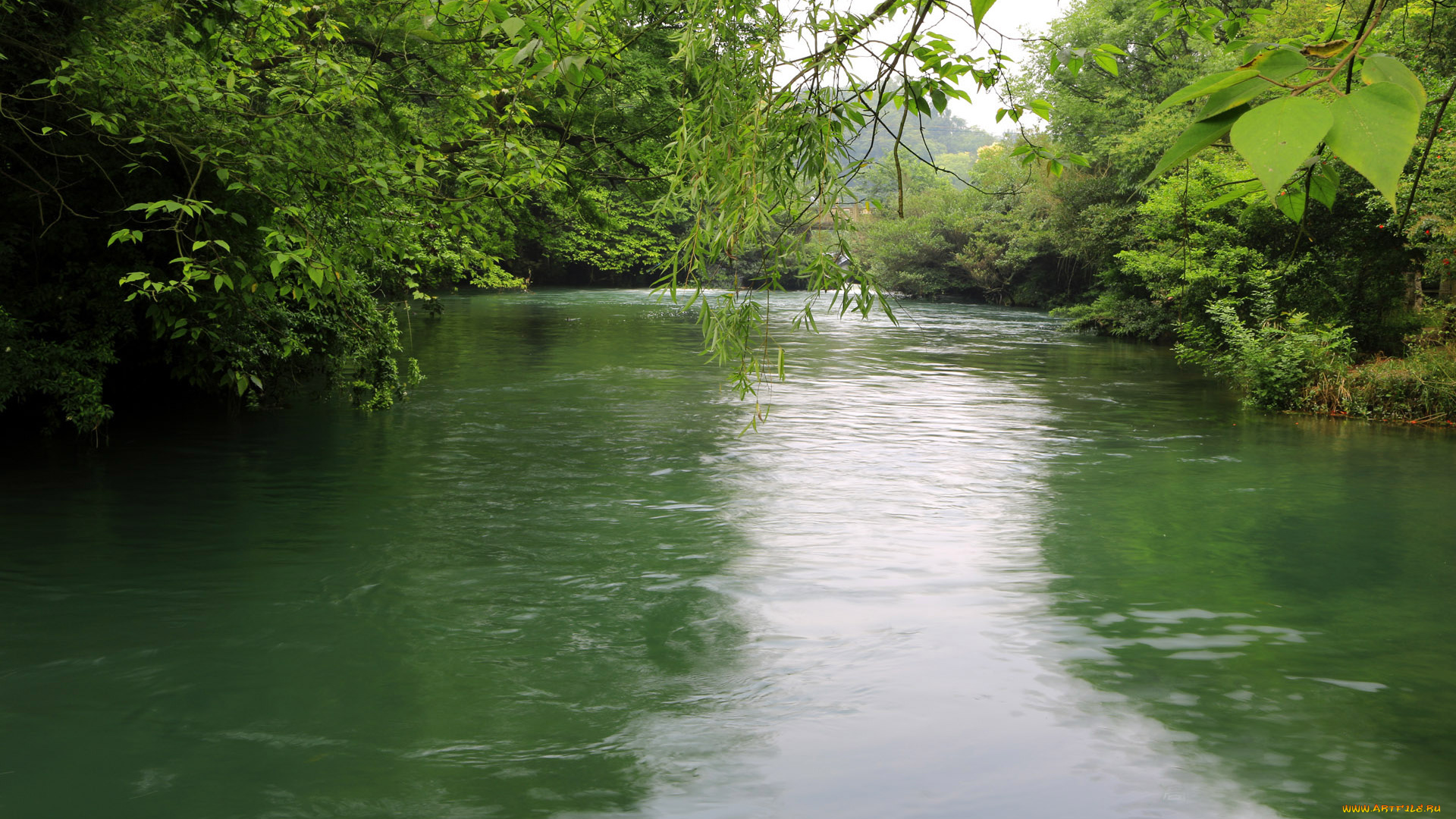 природа, реки, озера, деревья, река