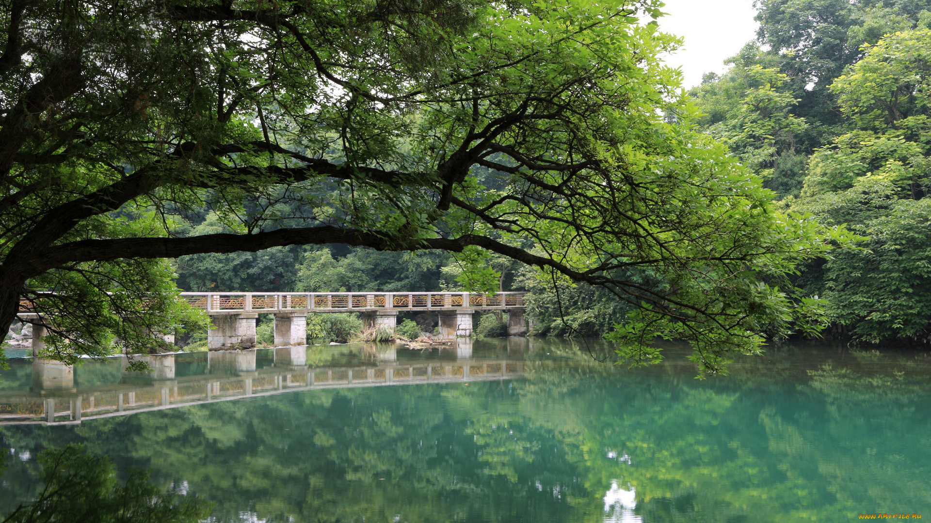 природа, реки, озера, река, деревья, мост