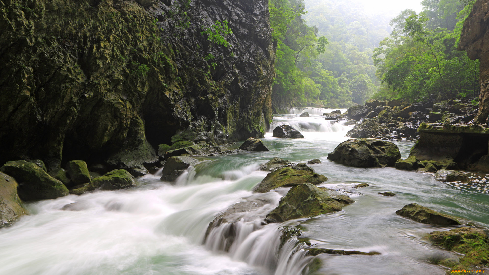 природа, реки, озера, река, камни, лес, скалы, туман