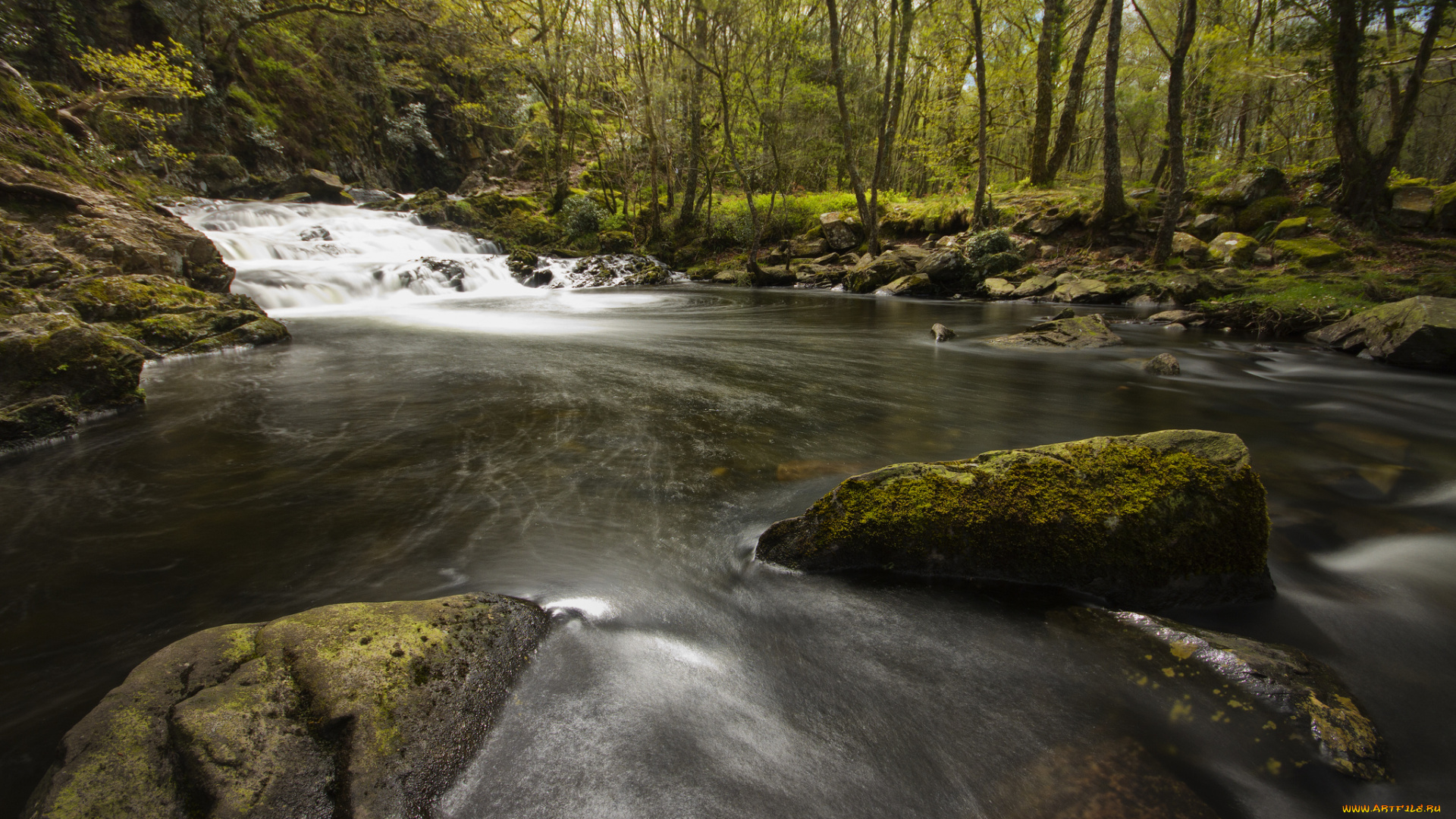 природа, реки, озера, река, лес, камни, деревья, каскад