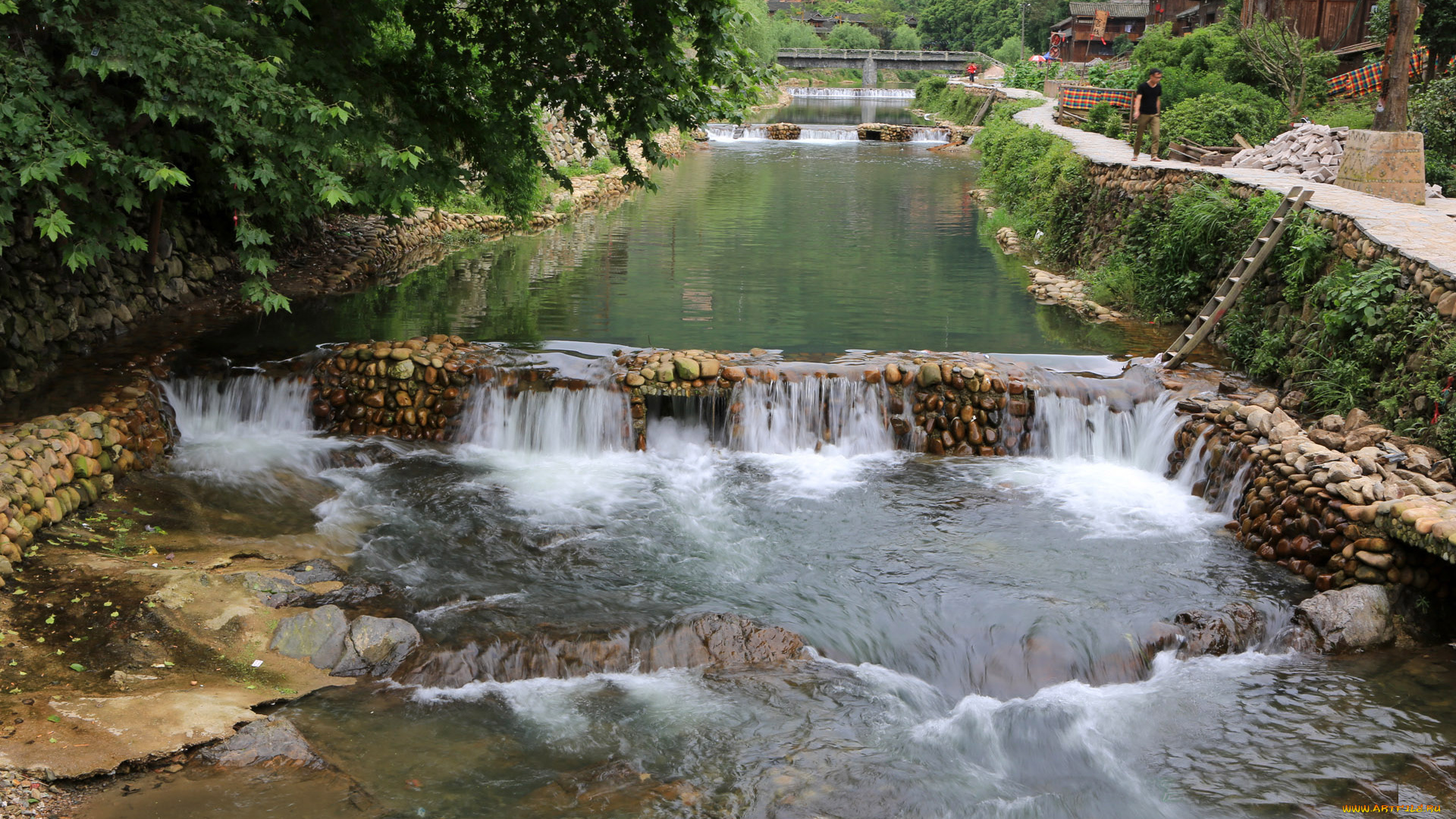 природа, реки, озера, река, лето