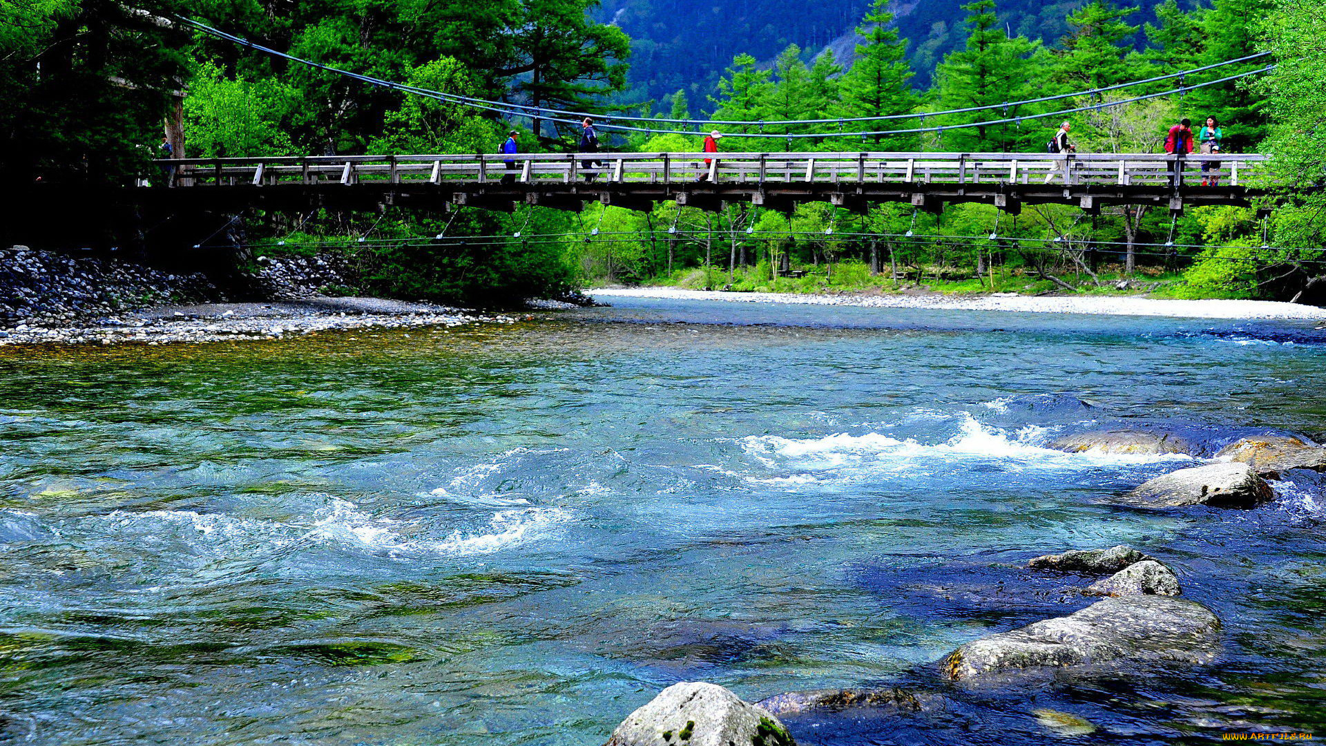 природа, реки, озера, река, мост