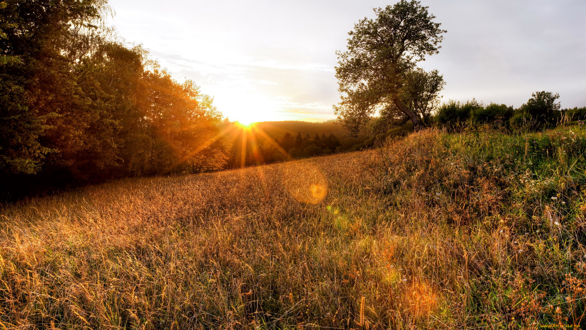 природа, восходы, закаты, поле, закат