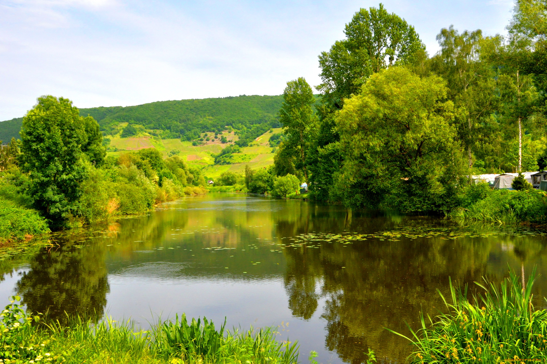 германия, мезених, moselle, природа, реки, озера, река