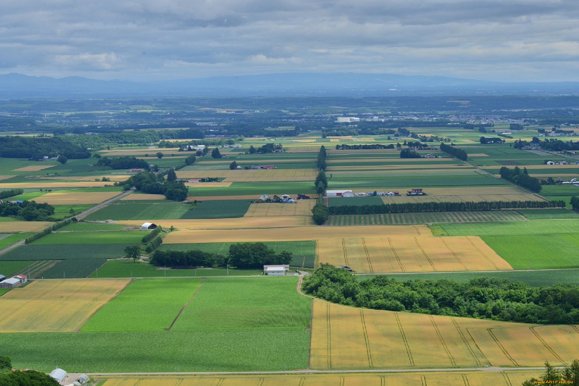 природа, поля, облака, поле