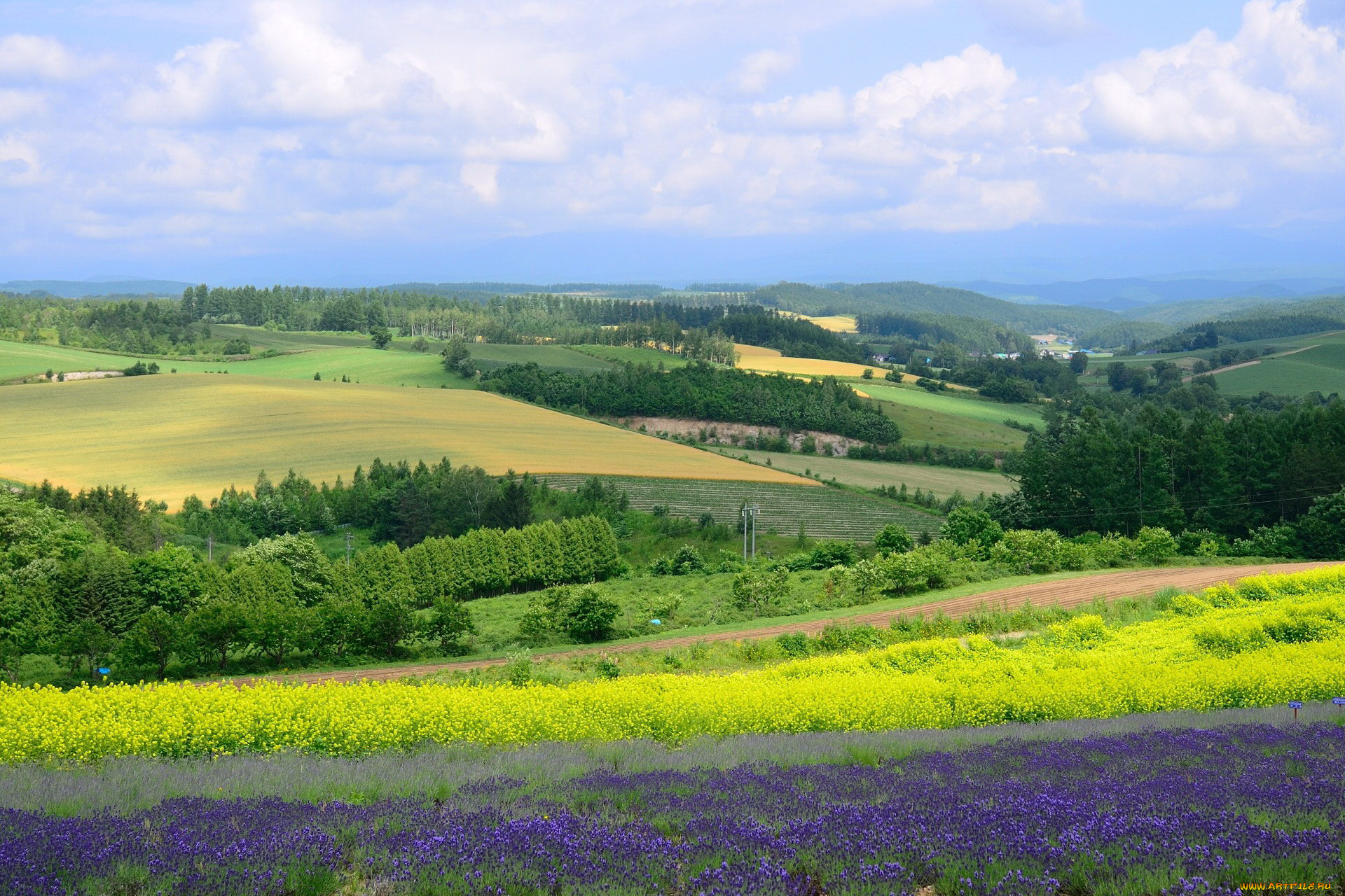 природа, поля, поле, облака
