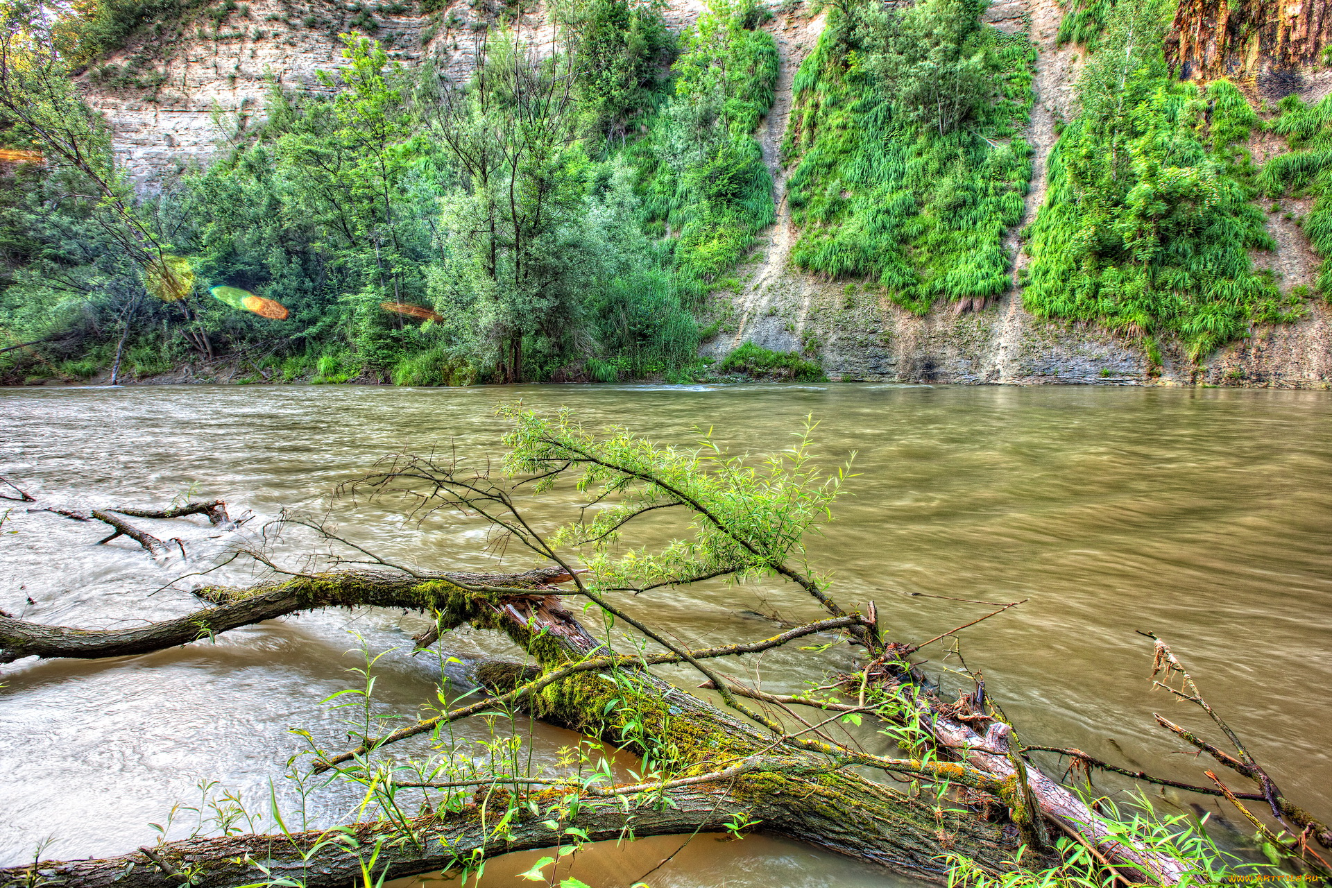 природа, реки, озера, река