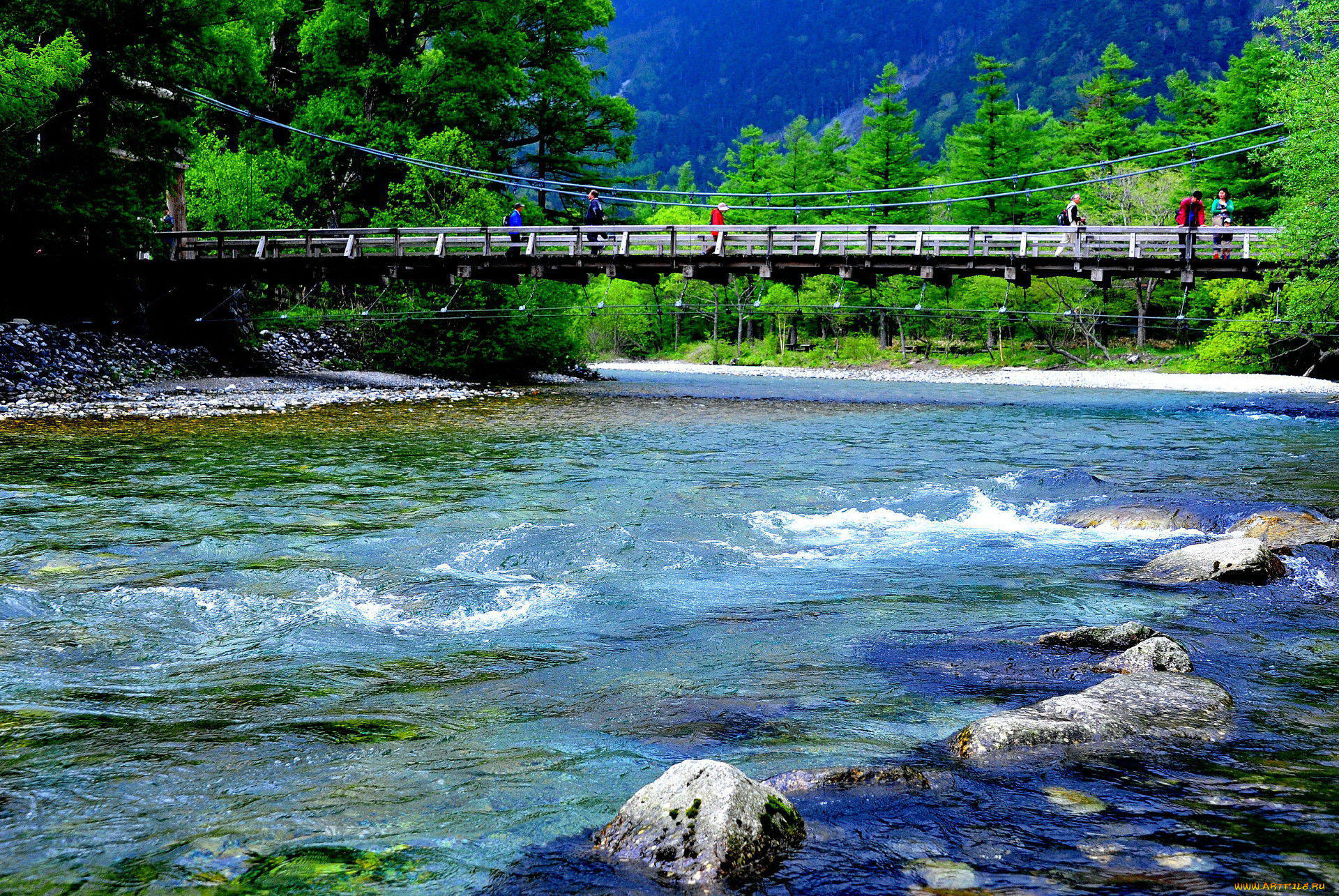 природа, реки, озера, река, мост