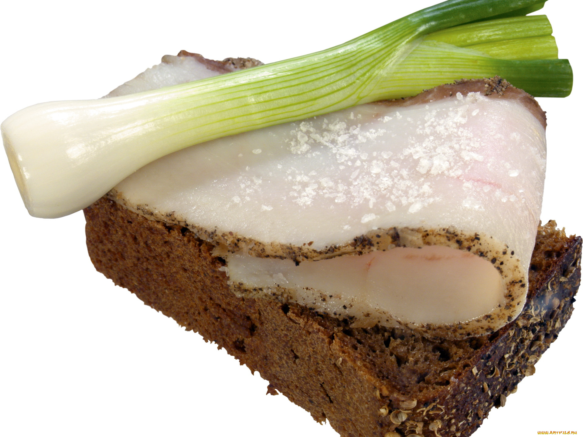 еда, бутерброды, гамбургеры, канапе, сало, хлеб, лук, бутерброд