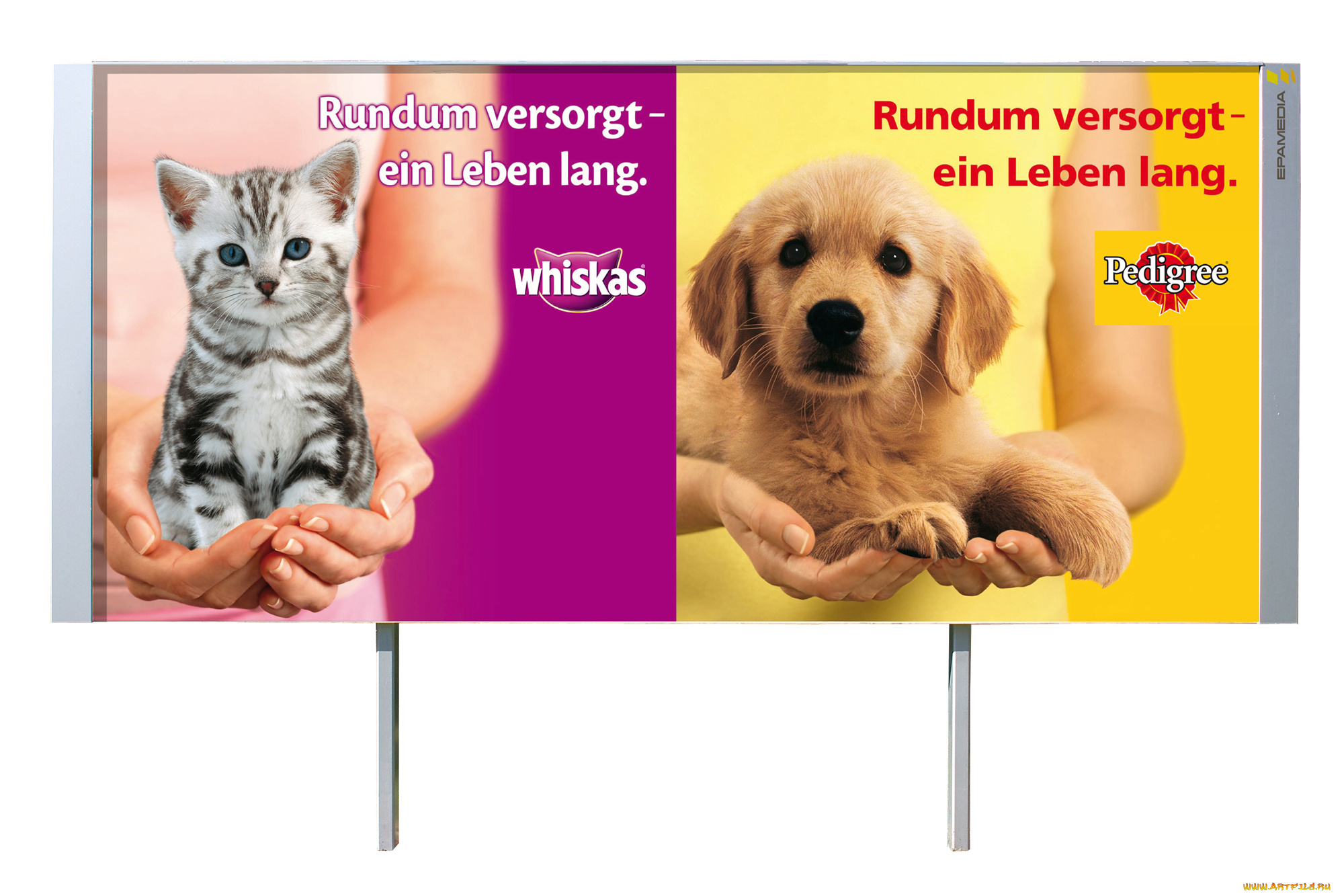 бренды, whiskas, корм