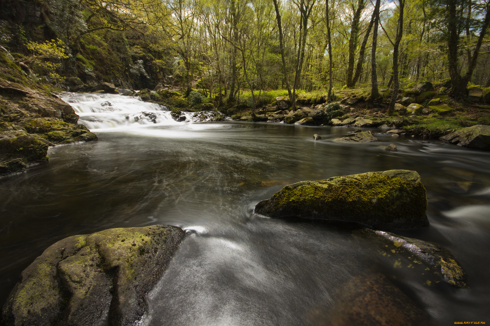 природа, реки, озера, река, лес, камни, деревья, каскад
