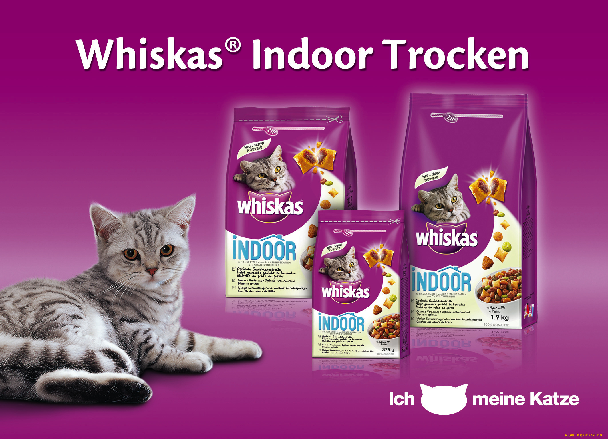 бренды, whiskas, корм