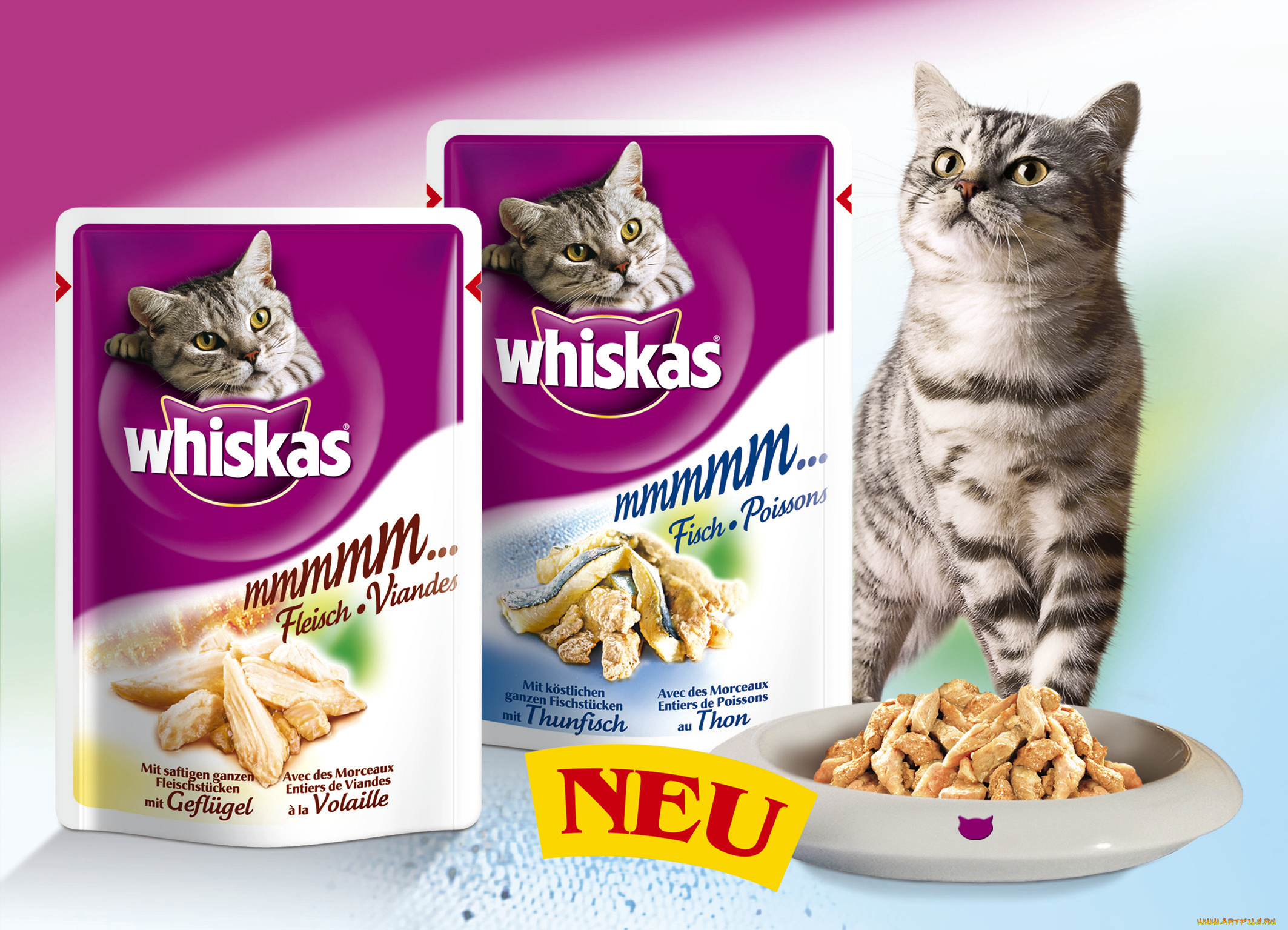 бренды, whiskas, корм, кот