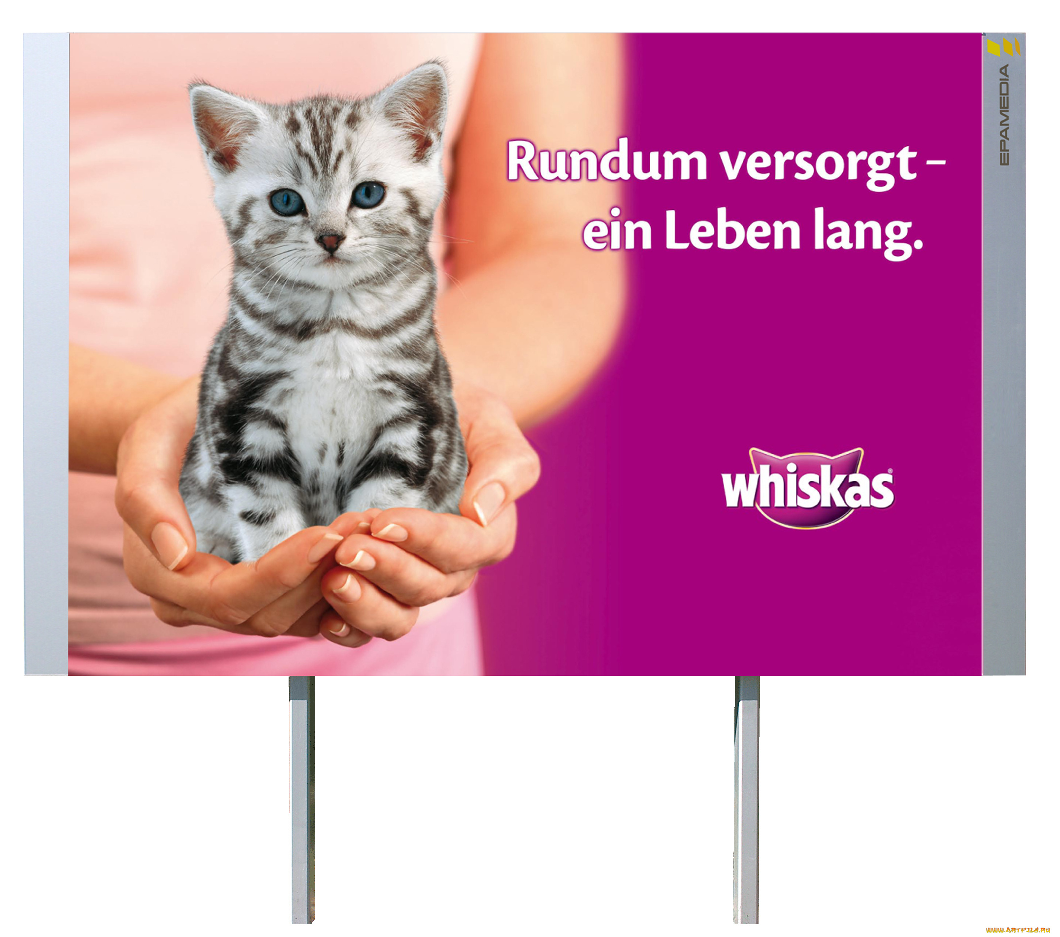 бренды, whiskas, корм