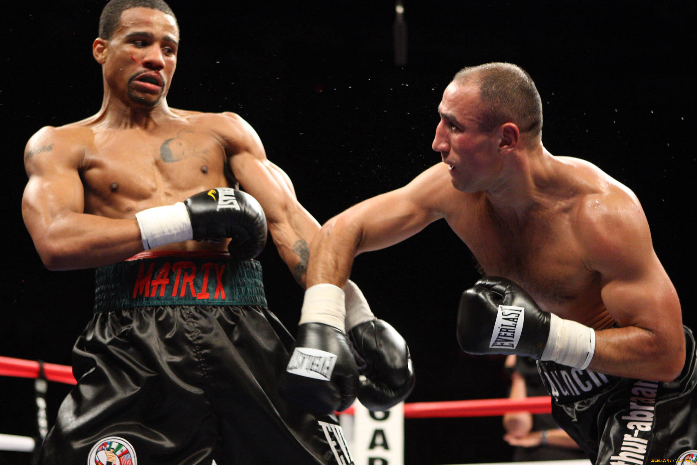 boxing, спорт, бокс, бой, ринг