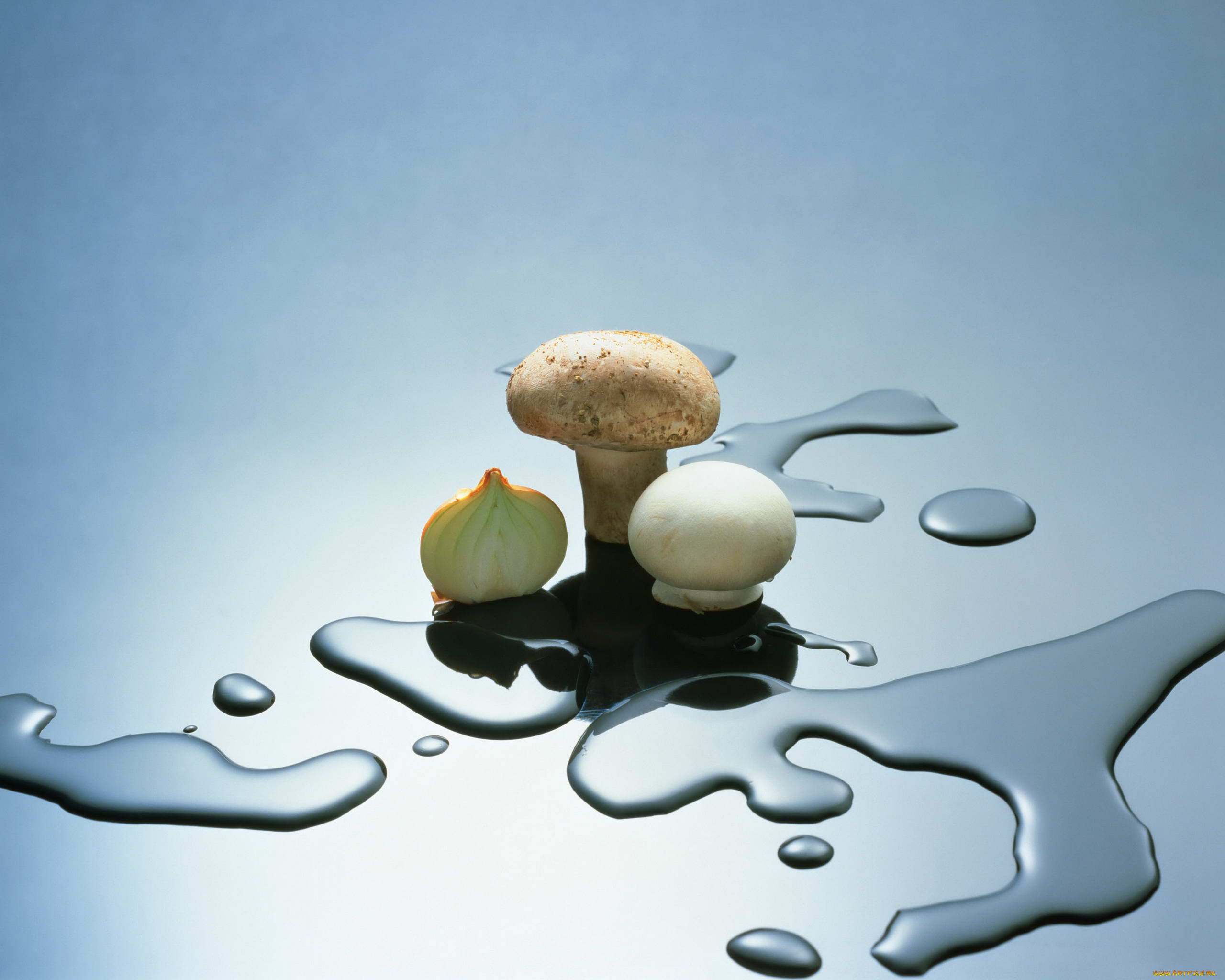 еда, грибы, грибные, блюда