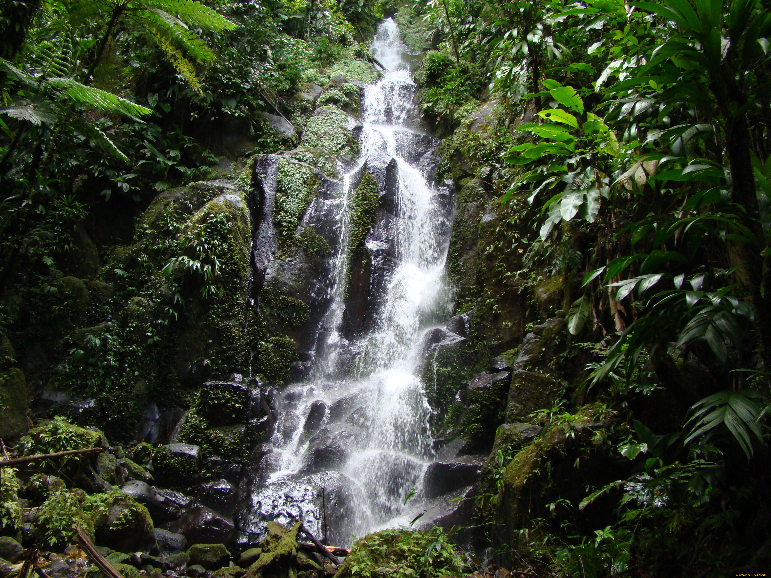природа, водопады, лес, камни