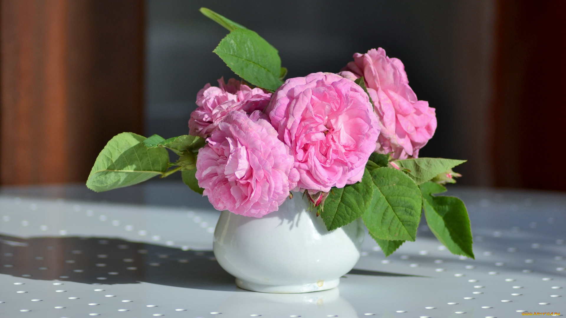 цветы, розы, leaves, petals, bud, rose, цветение, листья, бутон, лепестки, роза, blossoms