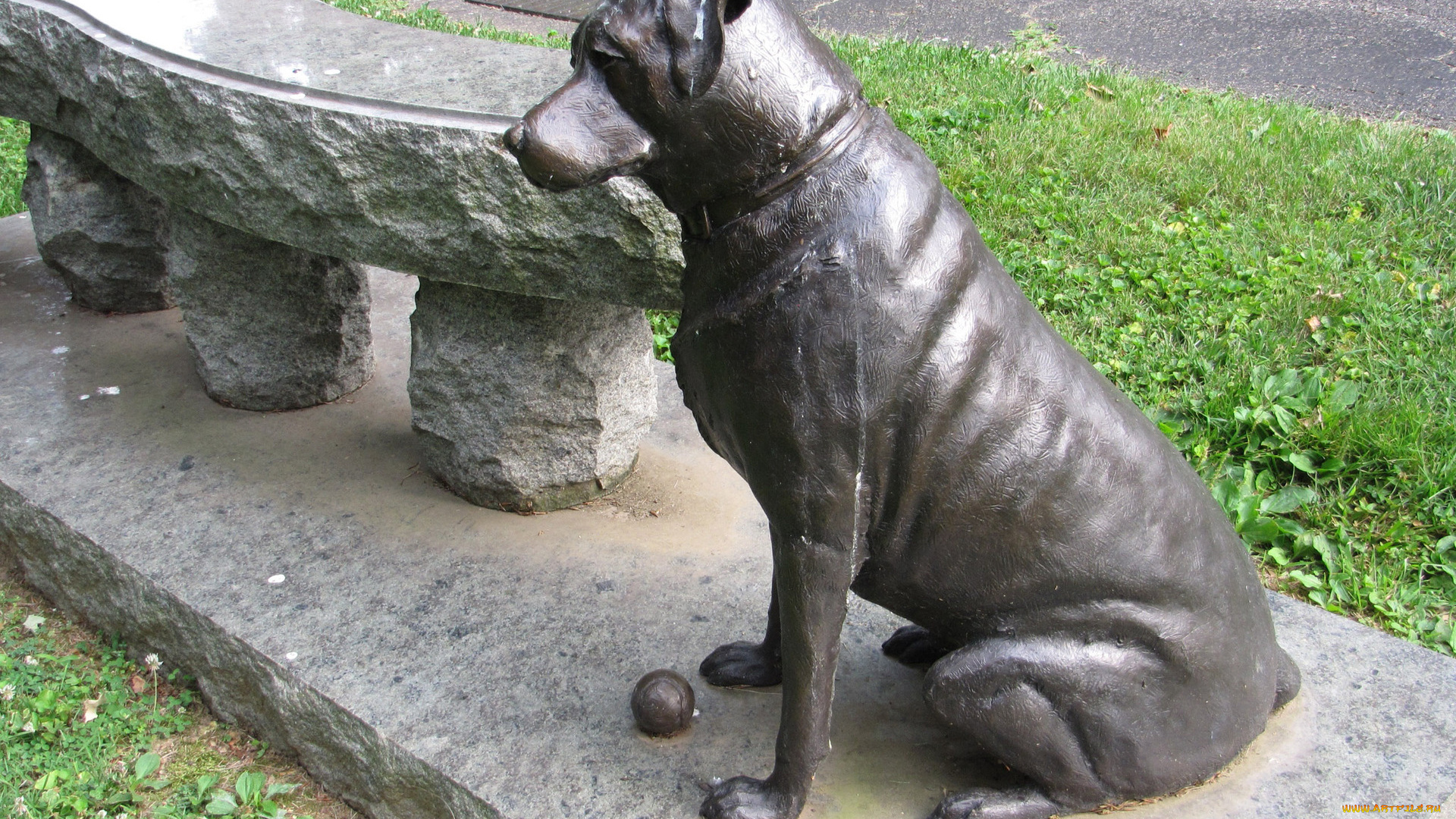 города, -, памятники, , скульптуры, , арт-объекты, скамейка, собака