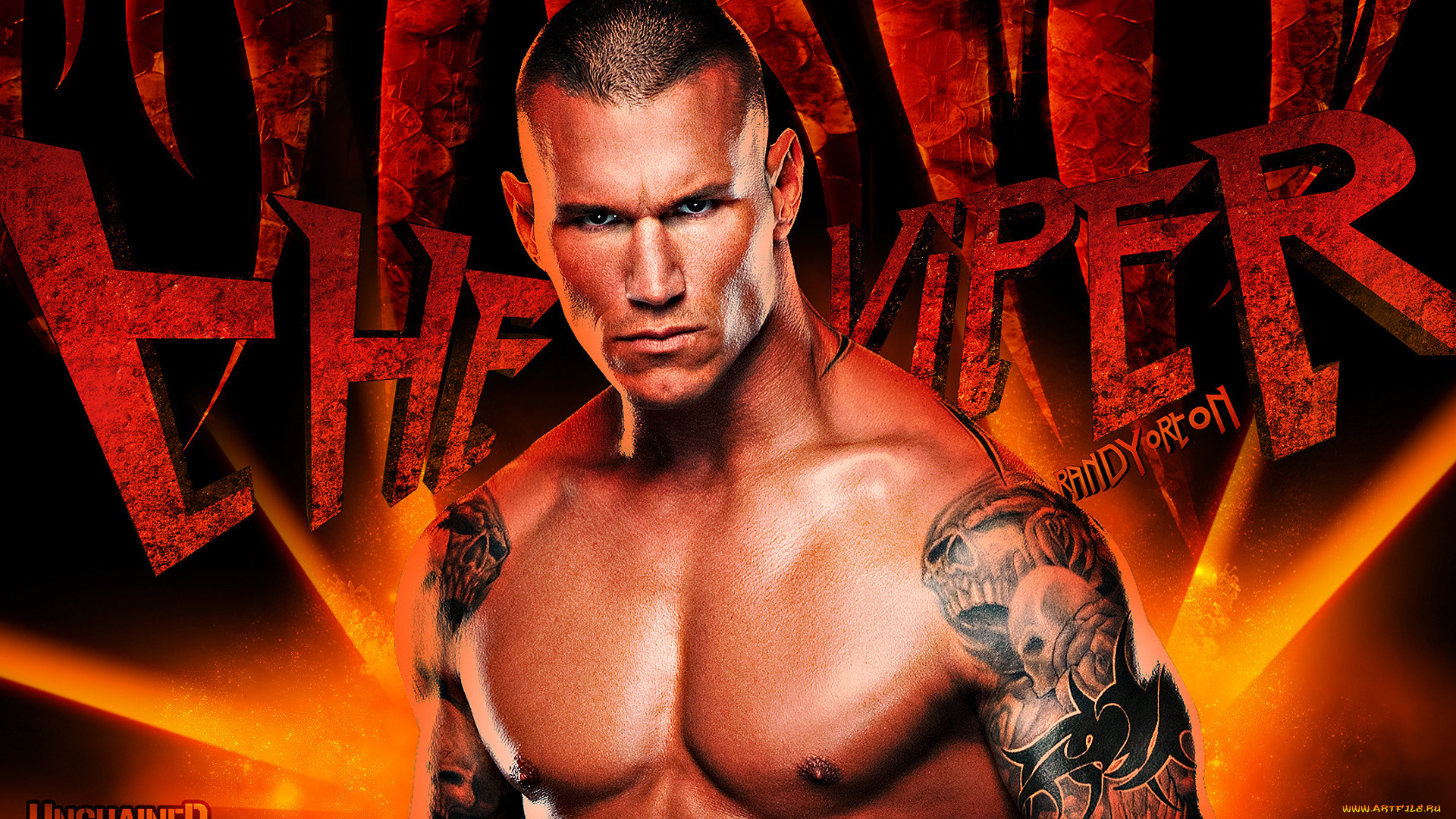 спорт, wwe, randy, orton