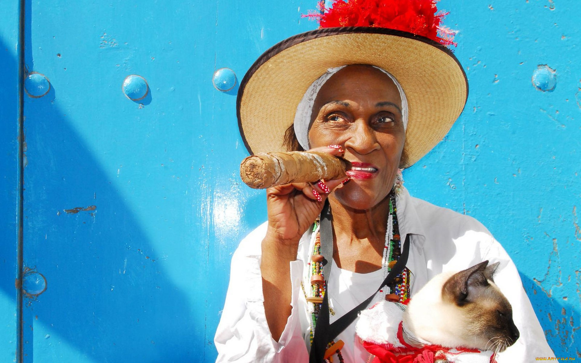 девушки, -unsort, , темнокожие, старуха, шляпа, бусы, кот, сигара