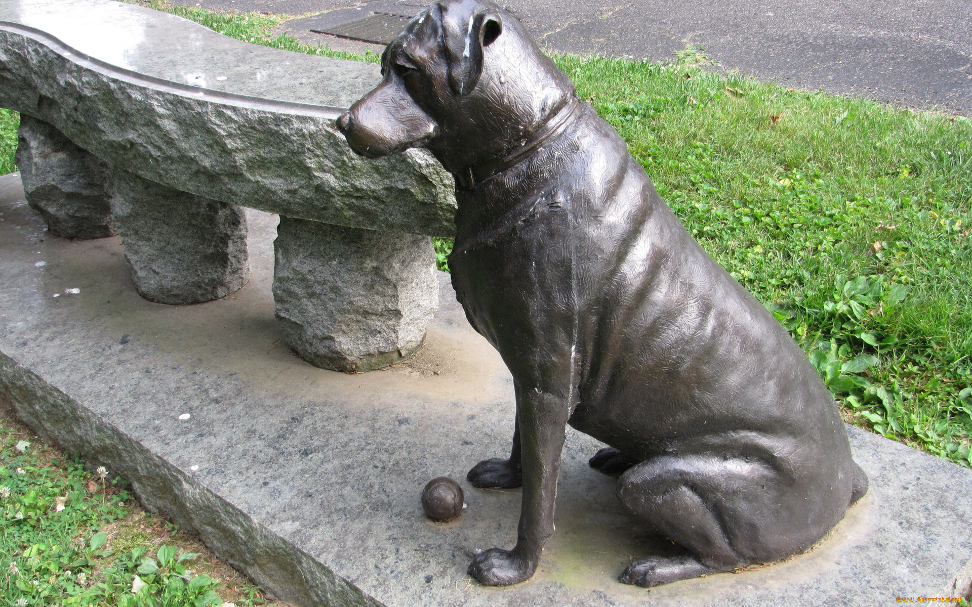 города, -, памятники, , скульптуры, , арт-объекты, скамейка, собака