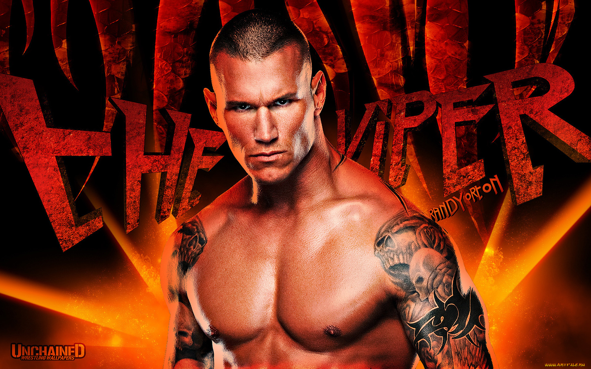 спорт, wwe, randy, orton