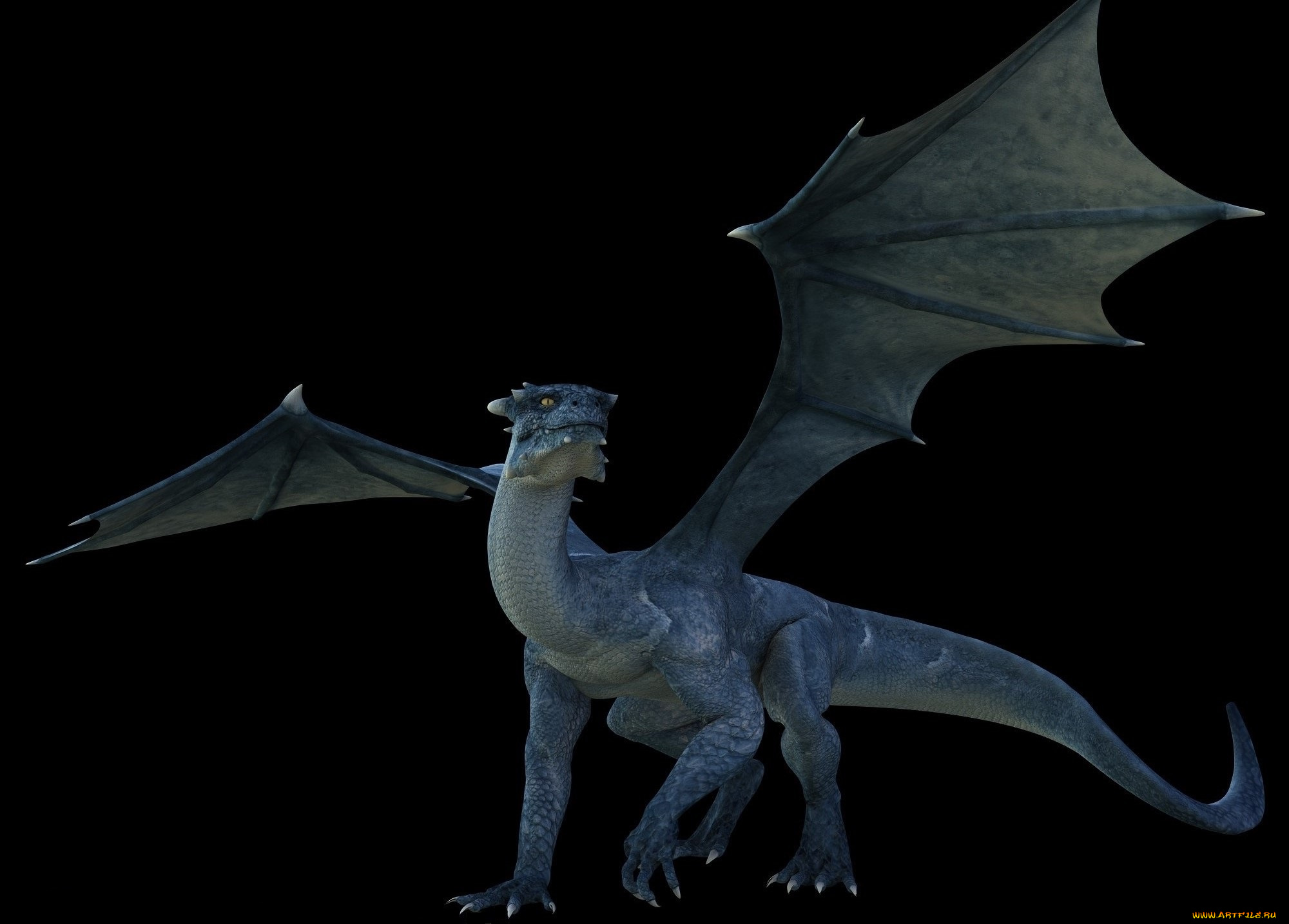 3д, графика, существа, , creatures, дракон, крылья, фон