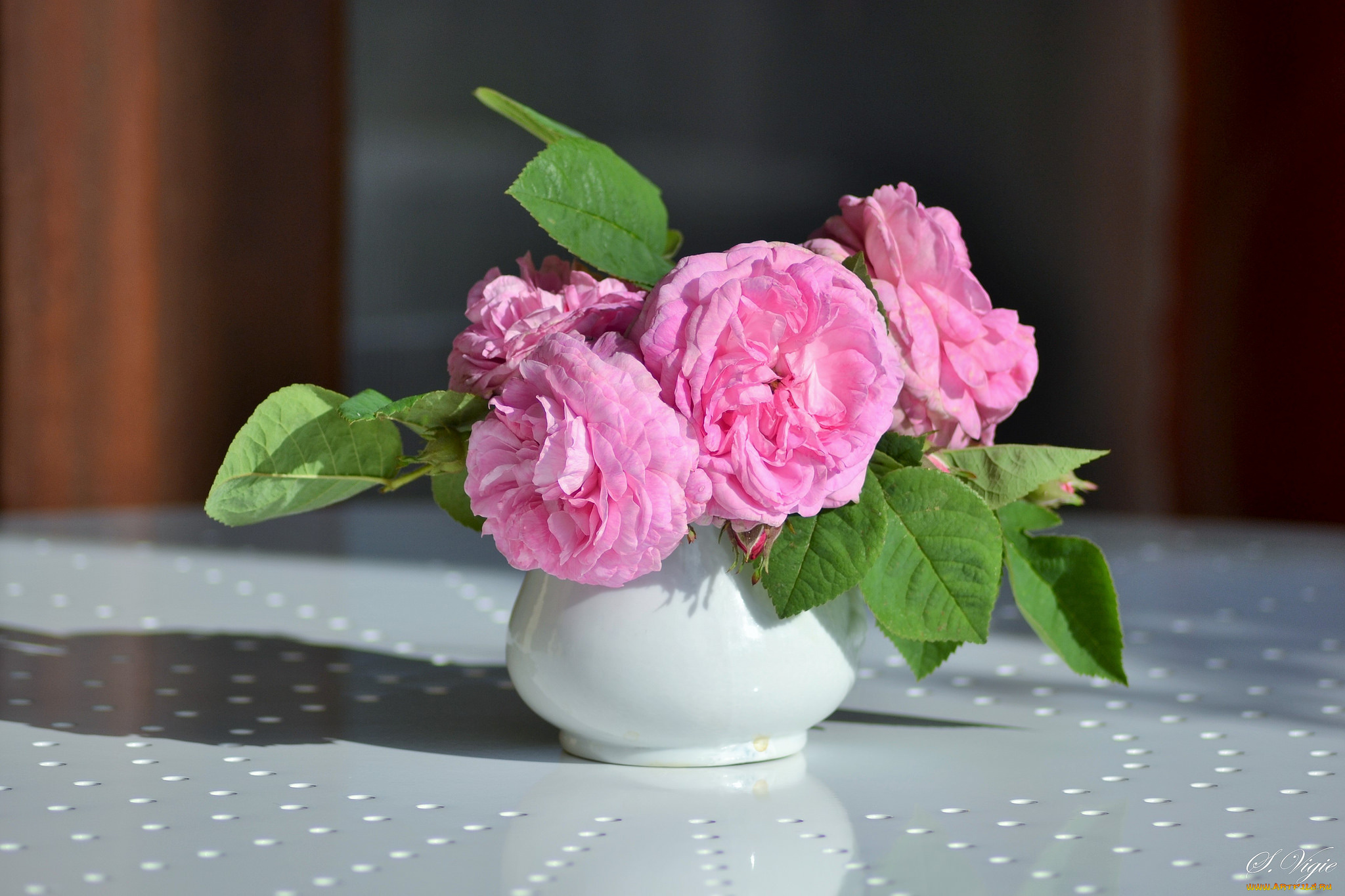 цветы, розы, leaves, petals, bud, rose, цветение, листья, бутон, лепестки, роза, blossoms