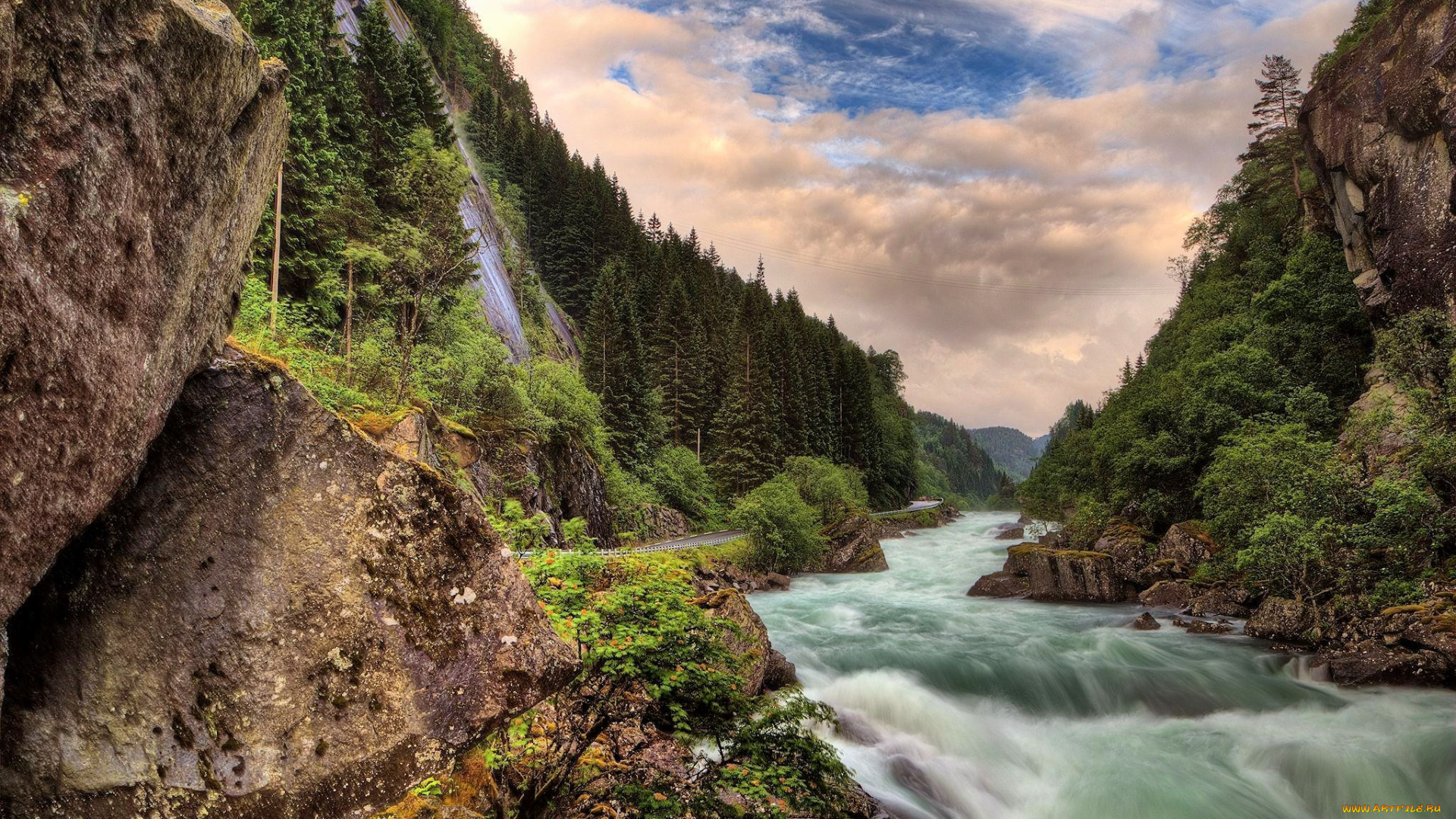 природа, реки, озера, лес, река