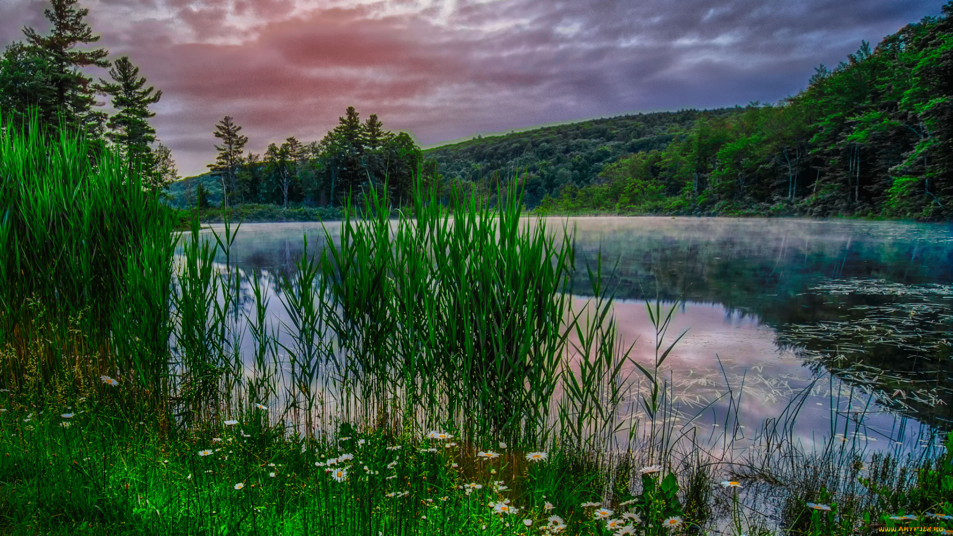 природа, реки, озера, лес, река