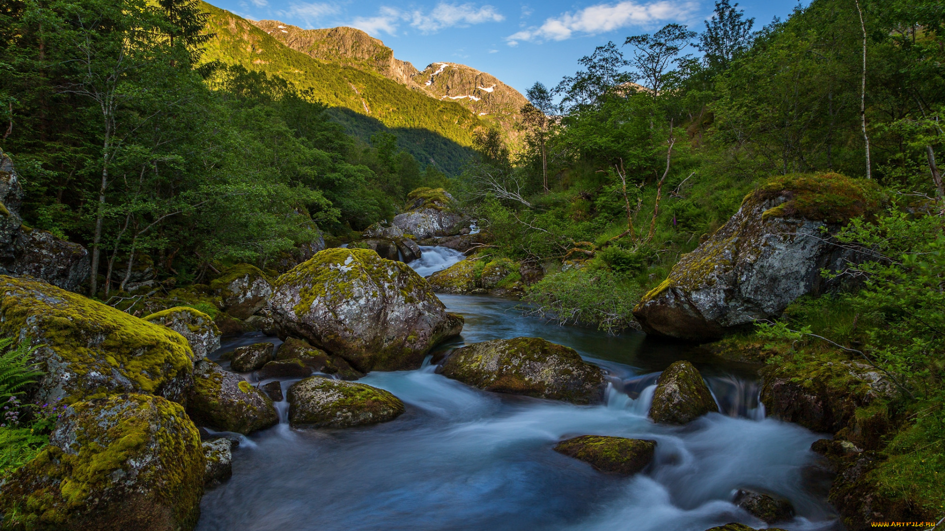 природа, реки, озера, лес, река