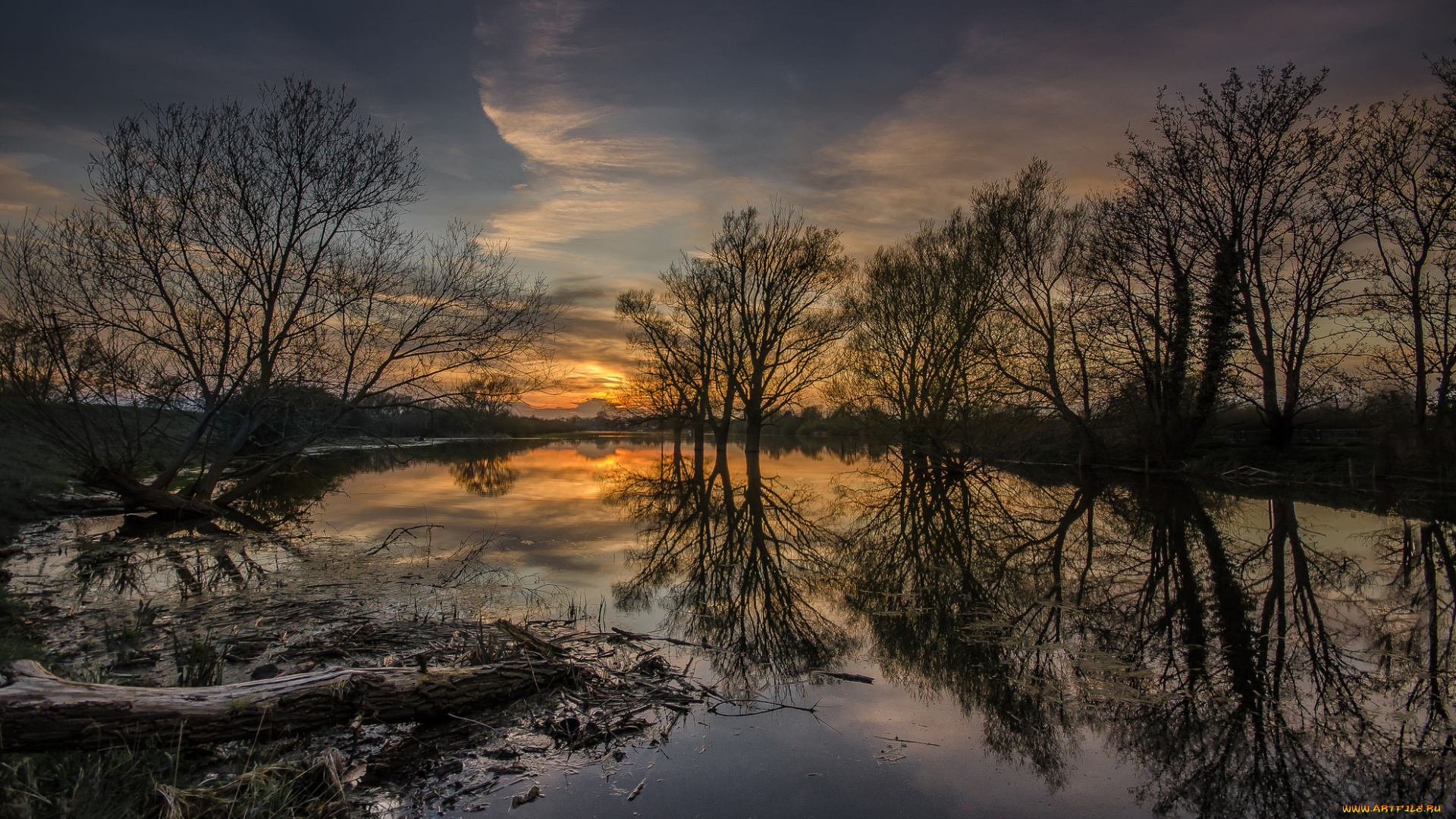 природа, реки, озера, лес, река