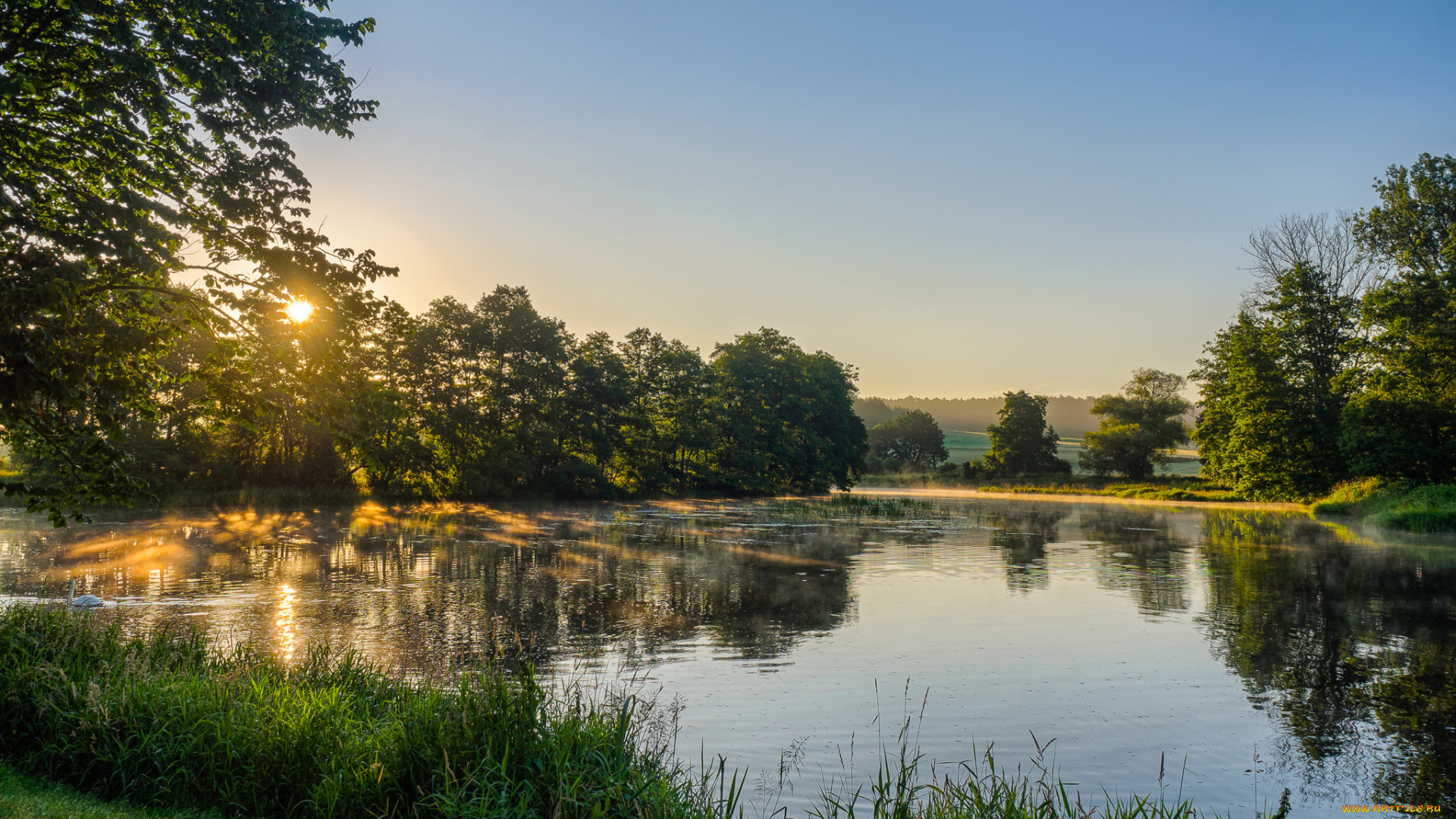 природа, реки, озера, лес, река