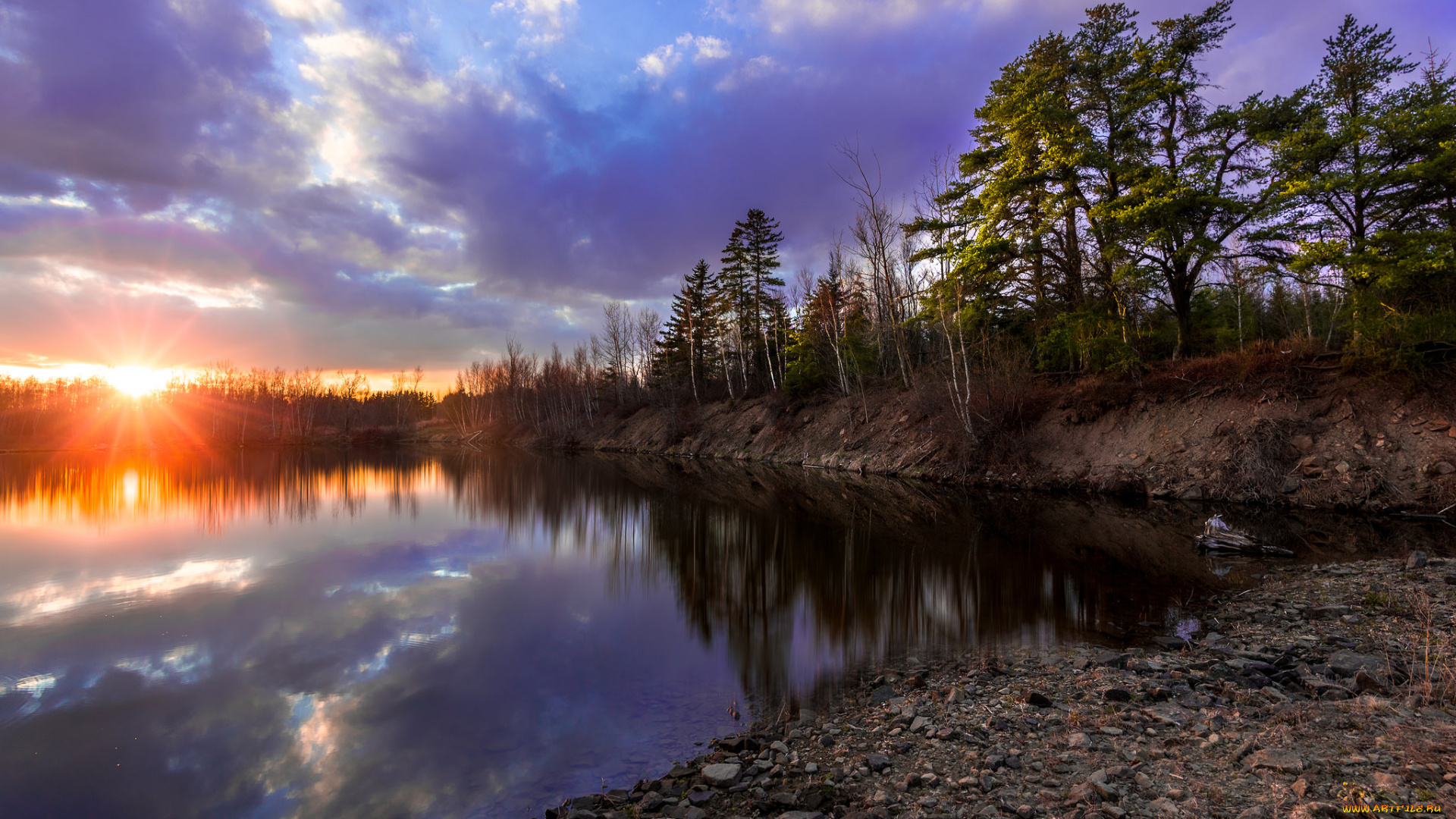 природа, реки, озера, река, лес