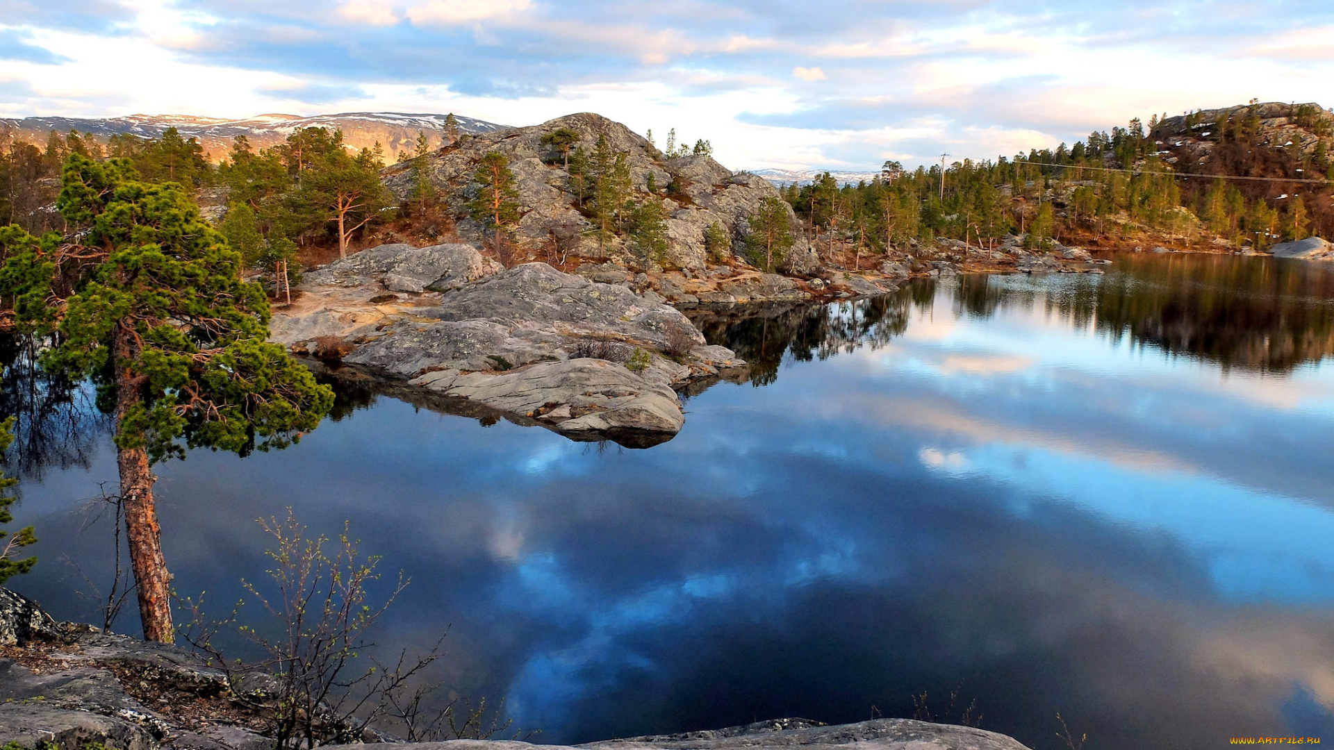 природа, реки, озера, река, лес