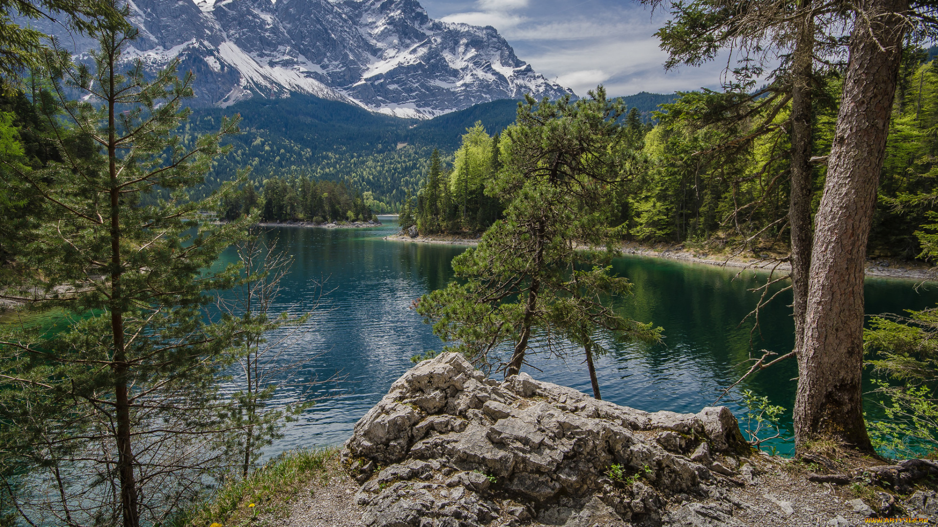 природа, реки, озера, река, лес