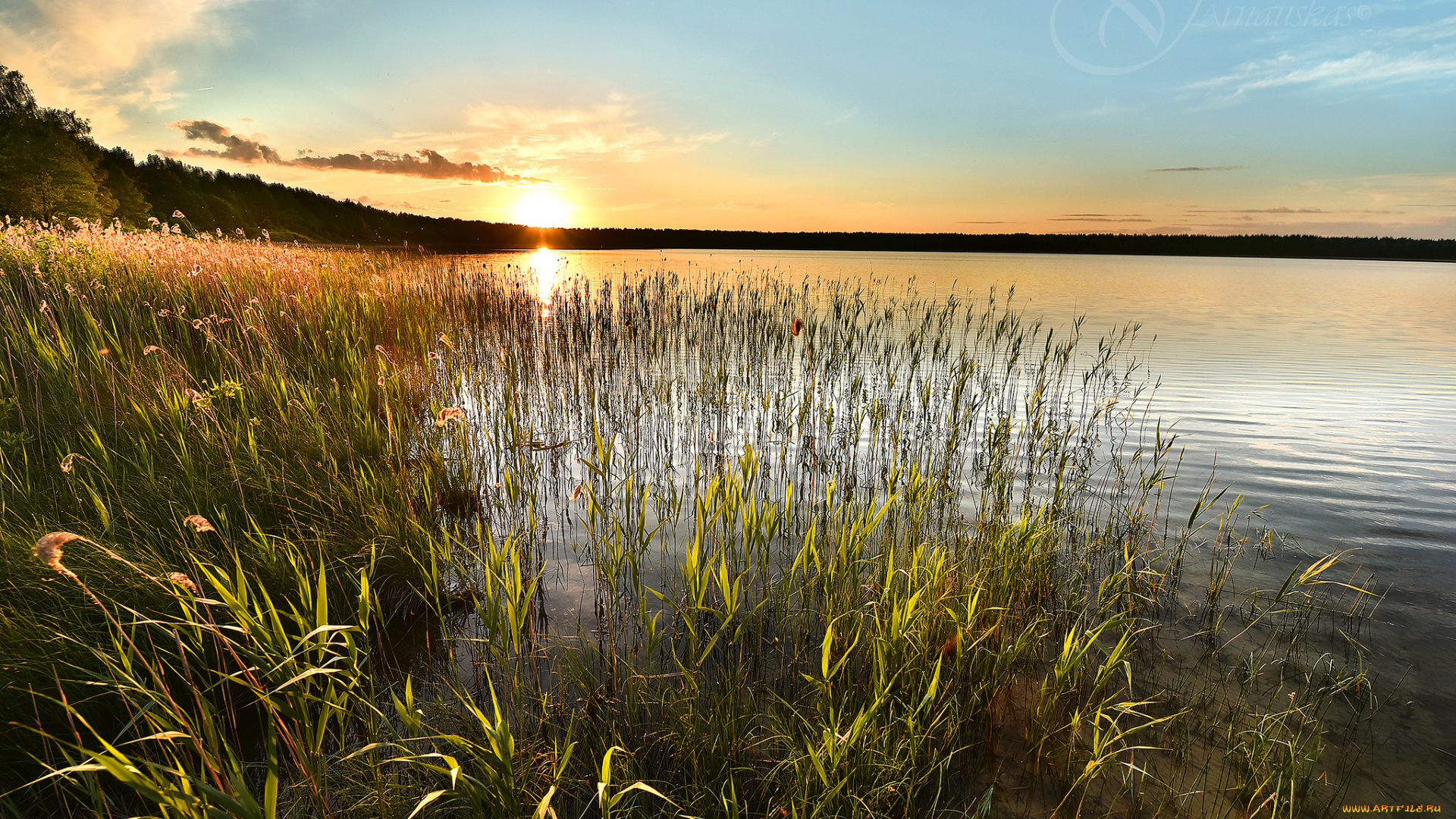 природа, реки, озера, река, лес