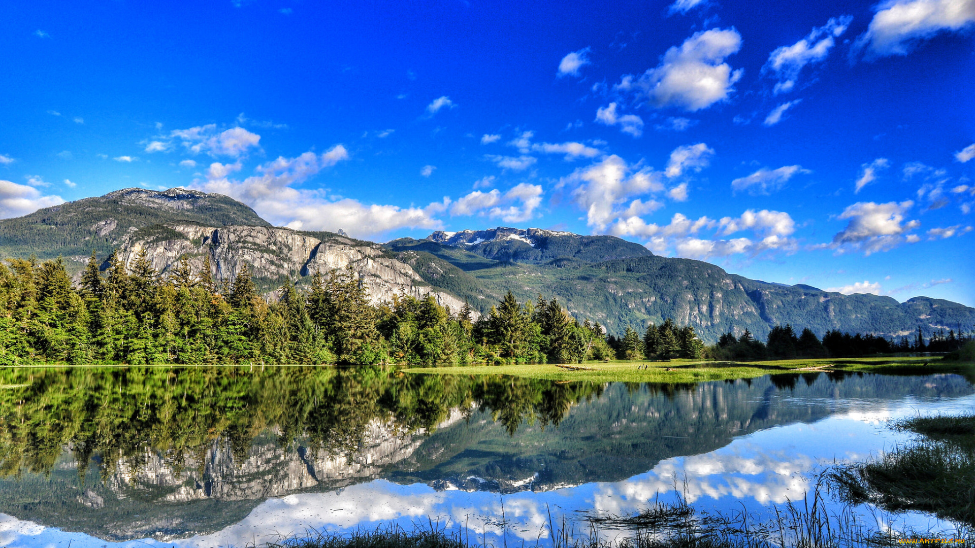 природа, реки, озера, река, лес