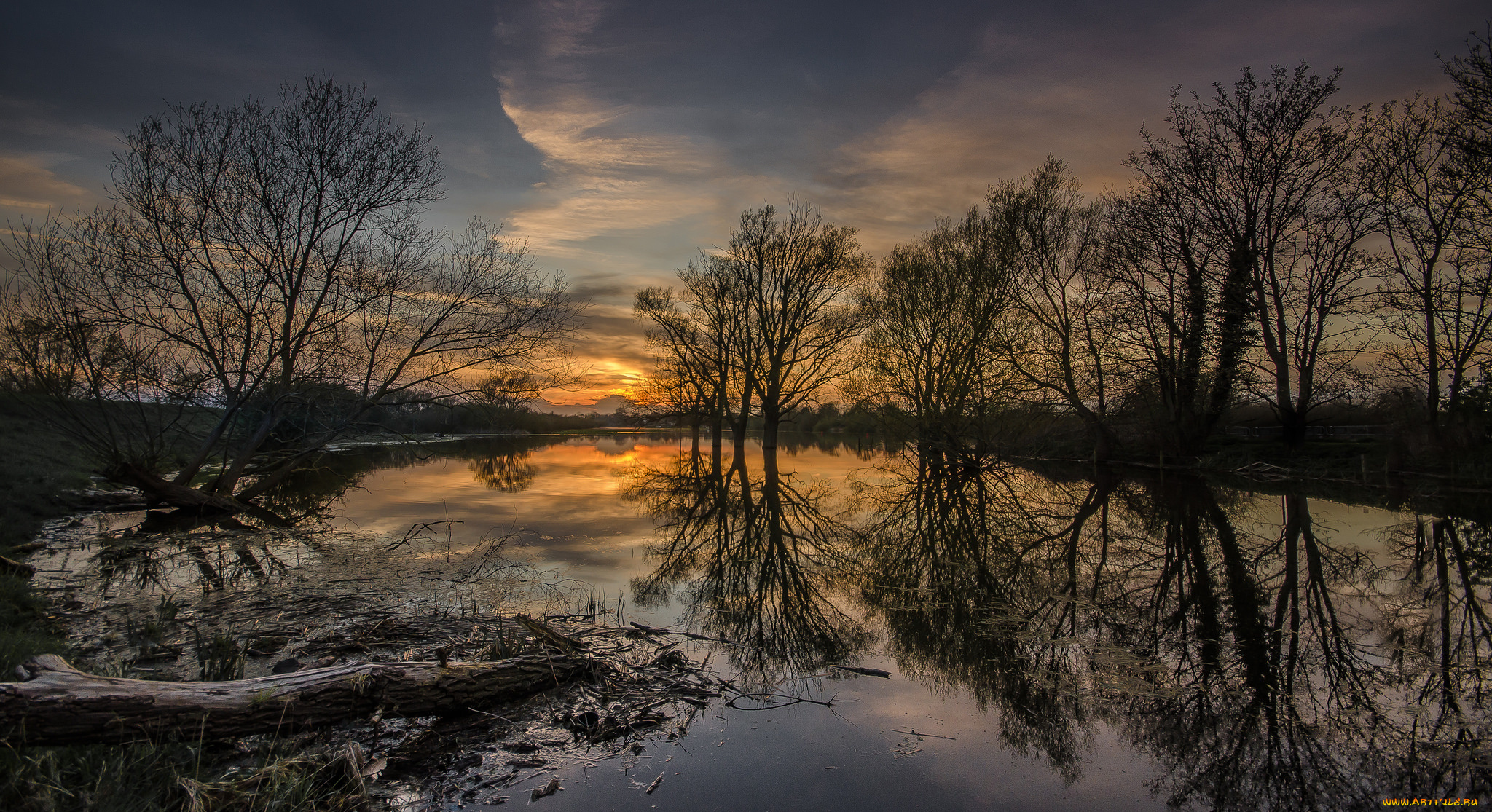 природа, реки, озера, лес, река