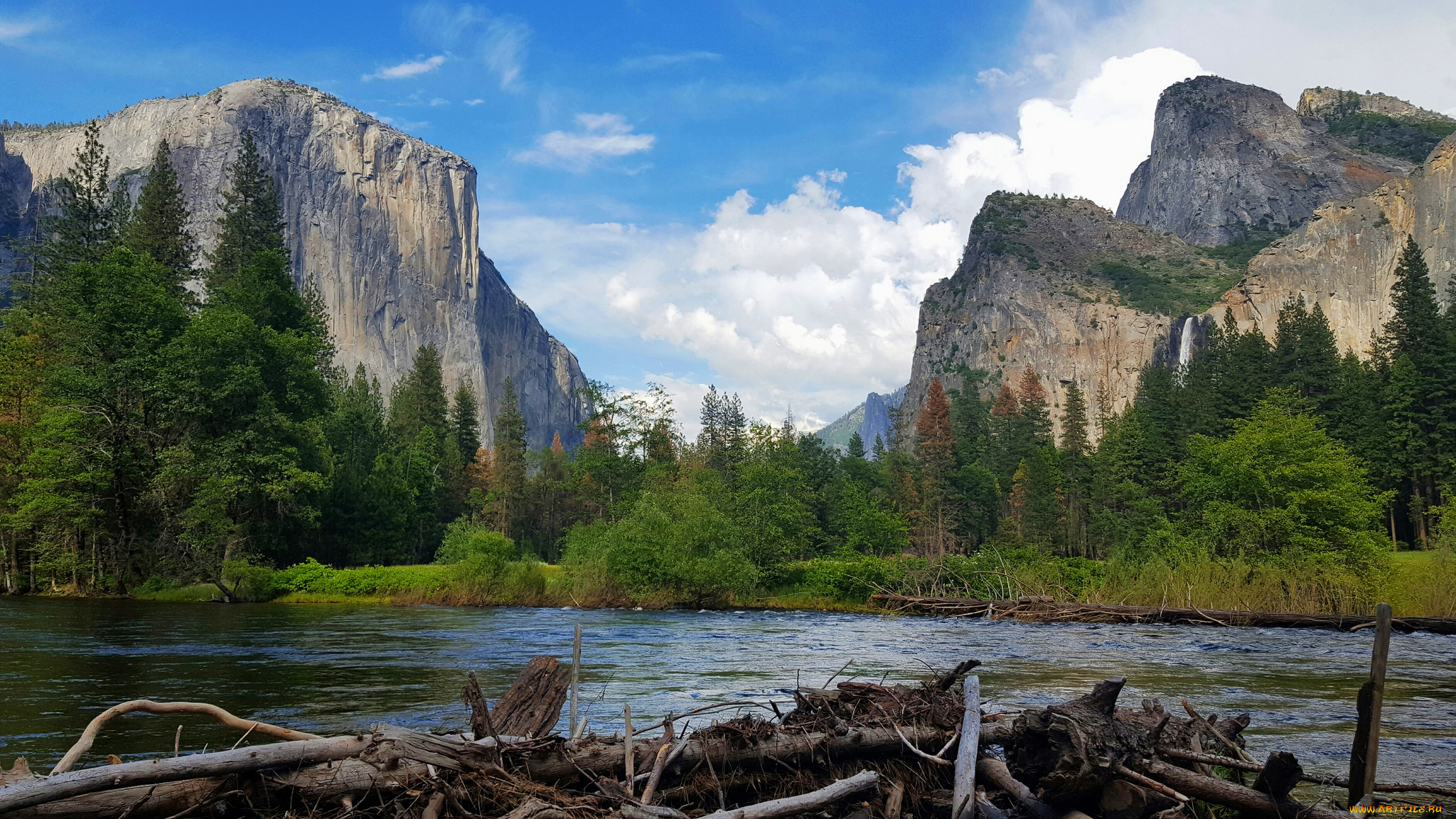 природа, реки, озера, река, лес