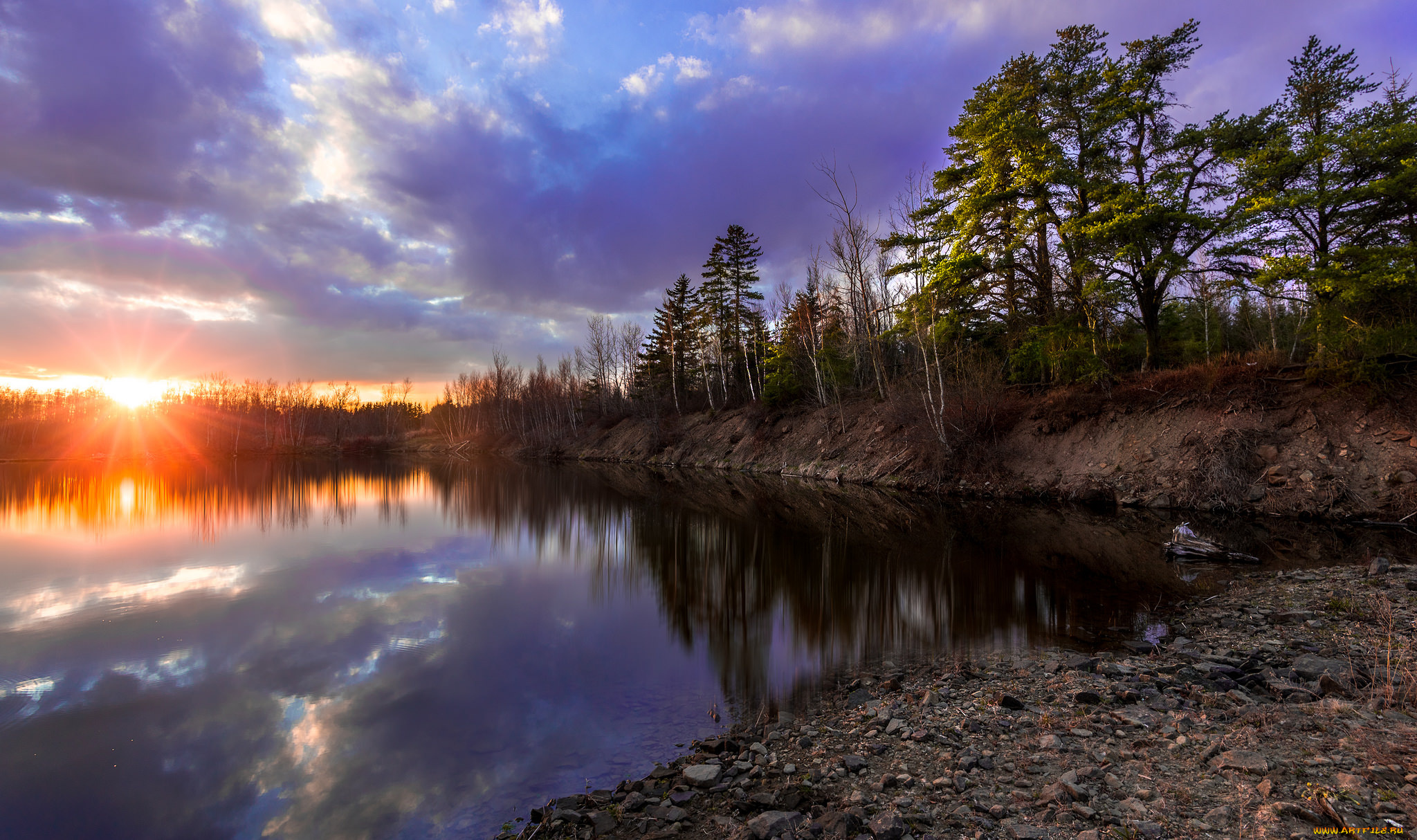 природа, реки, озера, река, лес