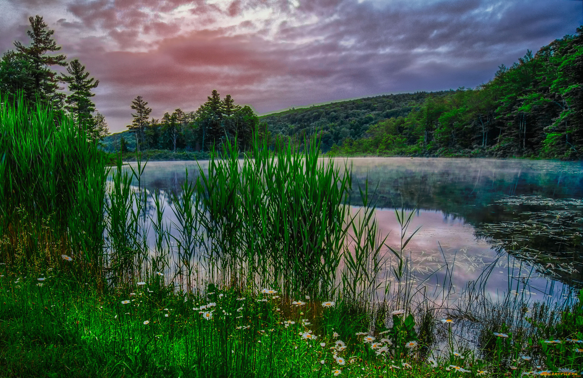 природа, реки, озера, лес, река