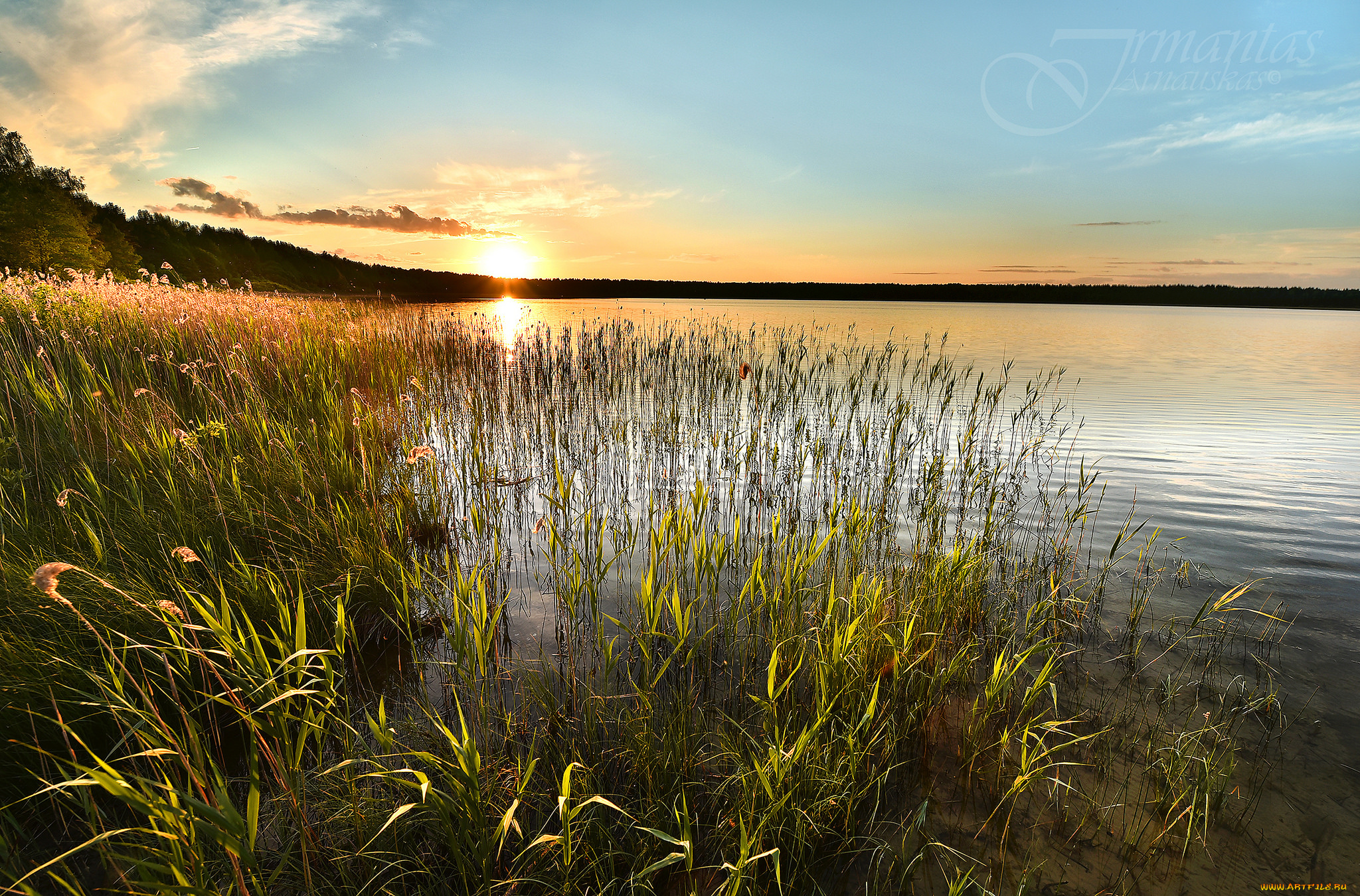 природа, реки, озера, река, лес